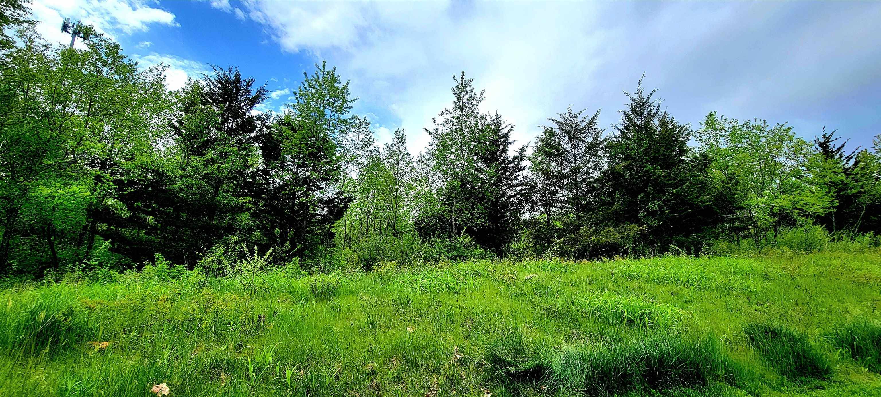 Baraboo, WI 53913,4.78 Ac Waldo Street