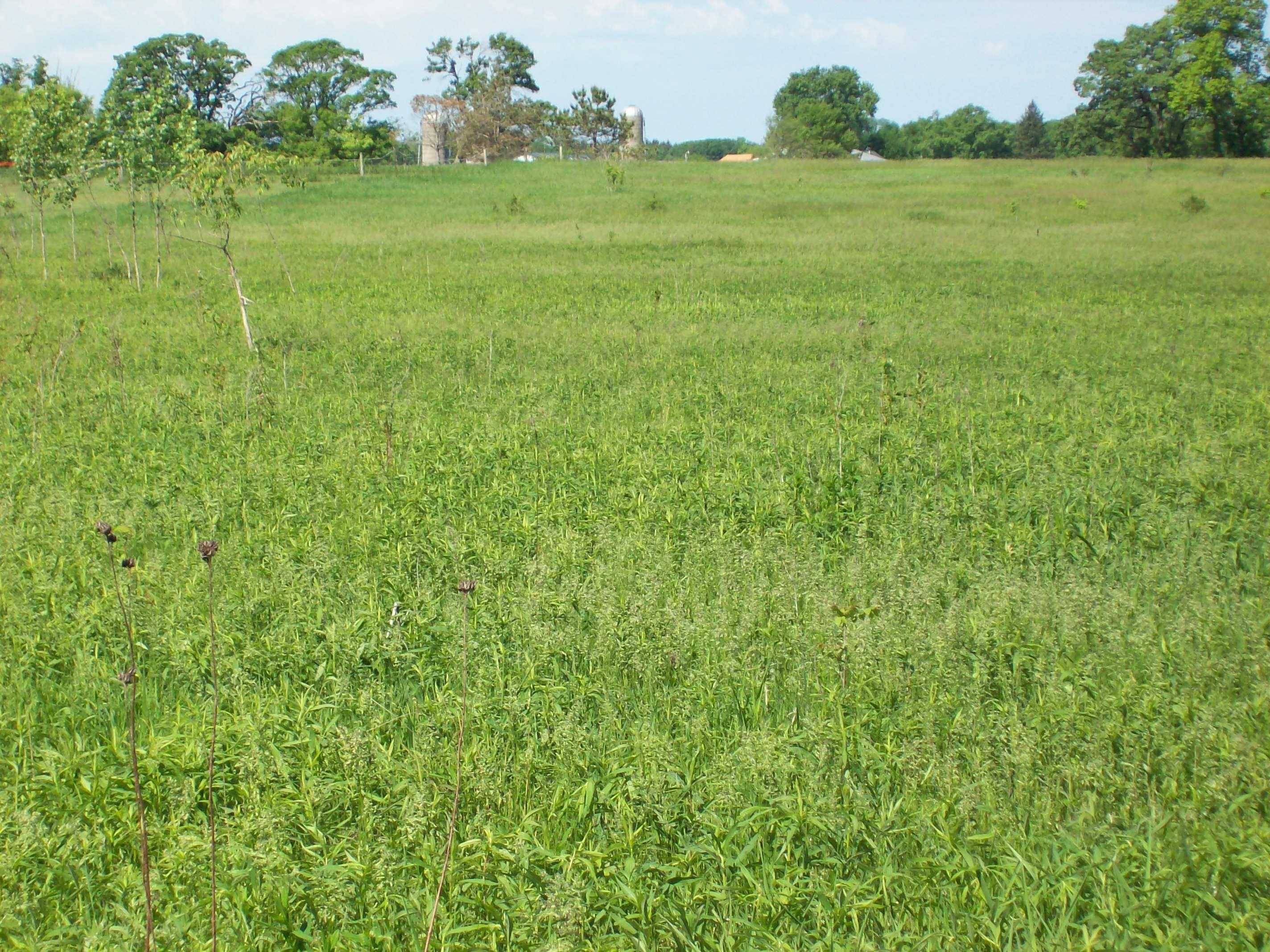 Oxford, WI 53952,Lot 11 Fandrich Street