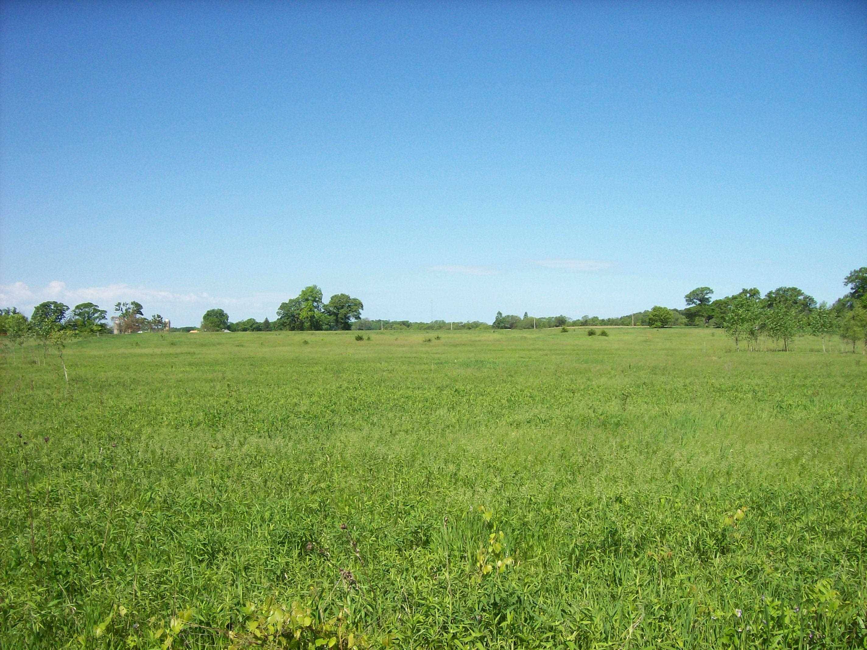 Oxford, WI 53952,Lot 11 Fandrich Street