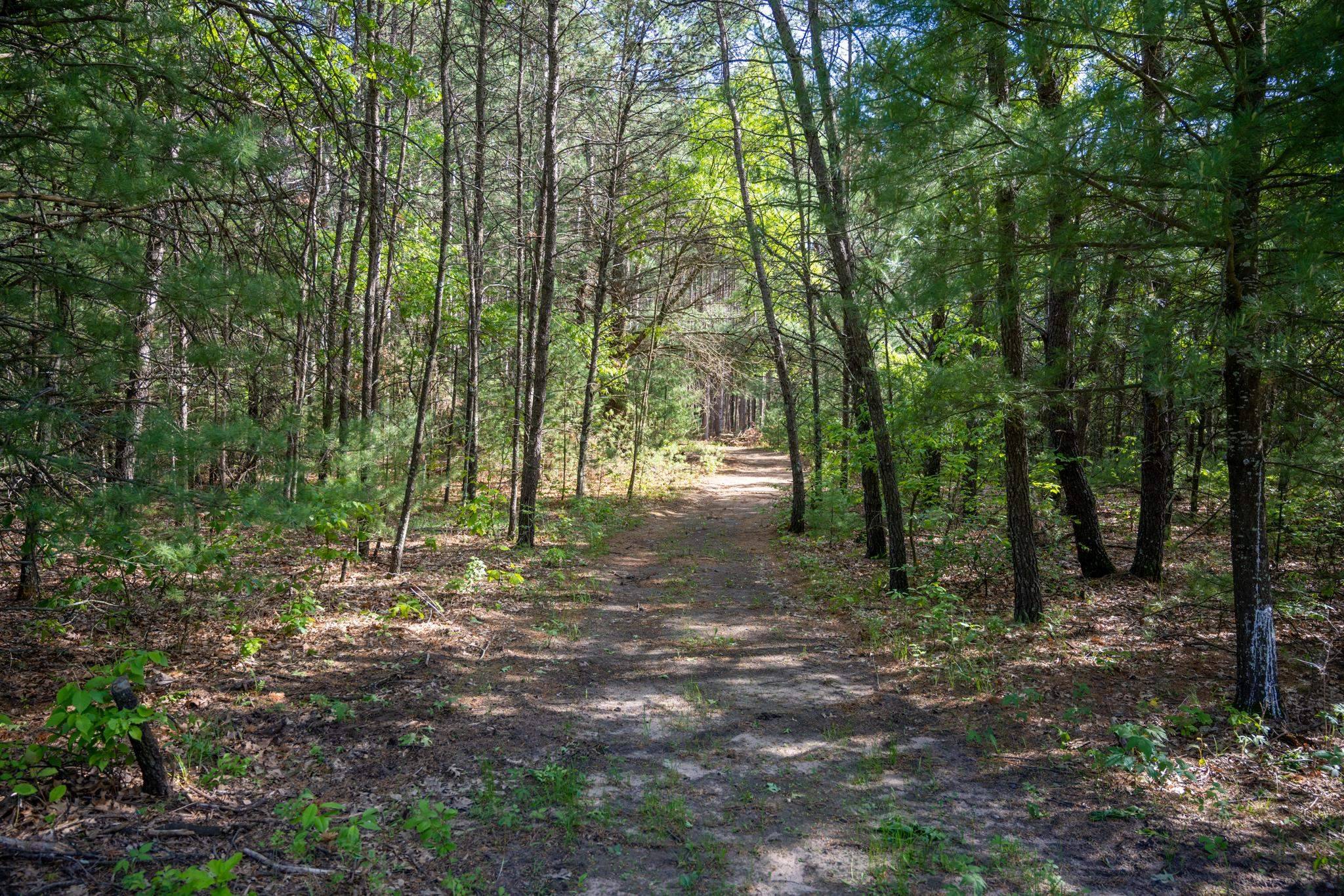 Necedah, WI 53464,6.49 acres County Road G