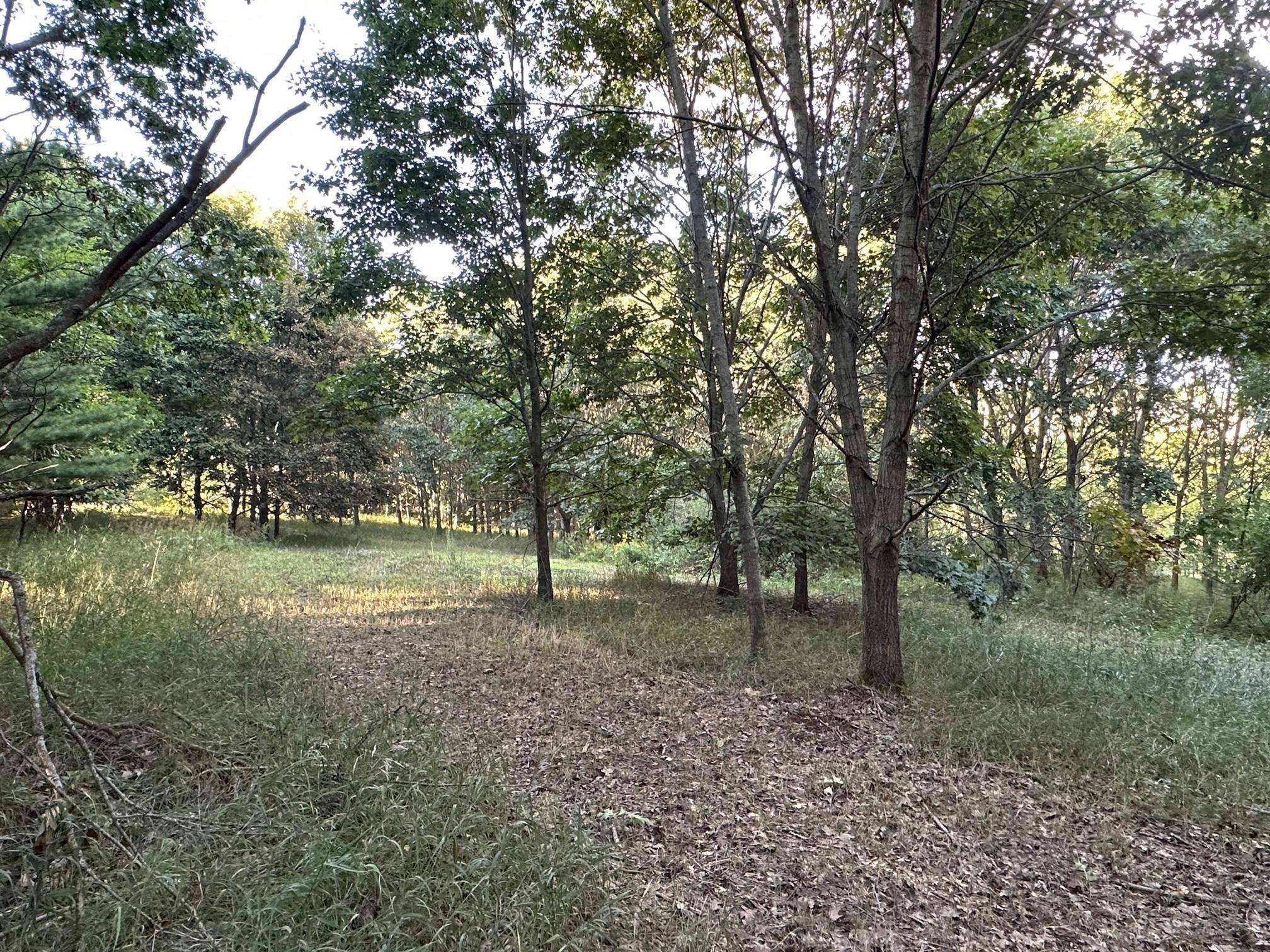 Verona, WI 53593,Lot 4 Davis Street