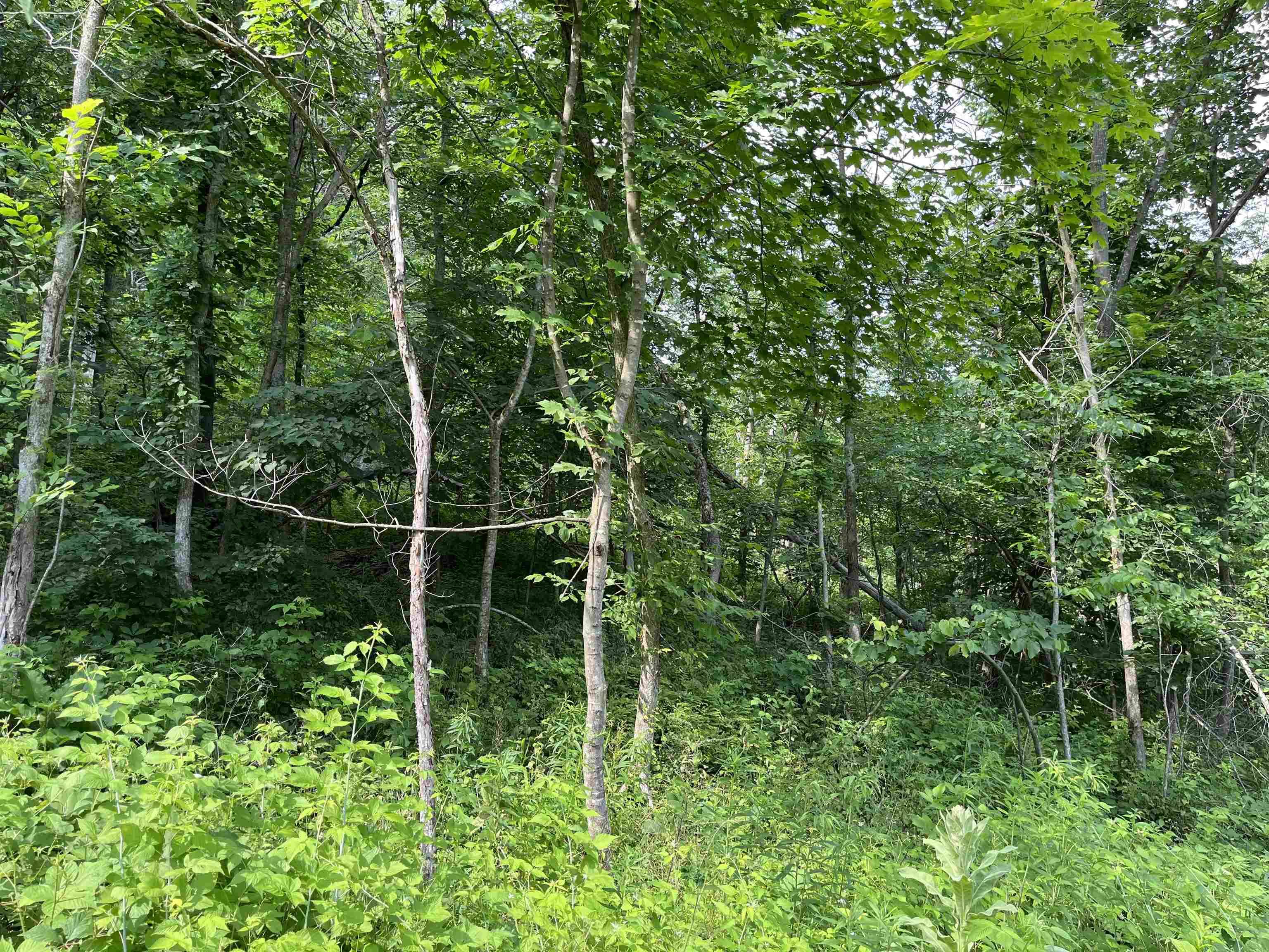 Ferryville, WI 54628,10.13 AC Deer Valley Trail