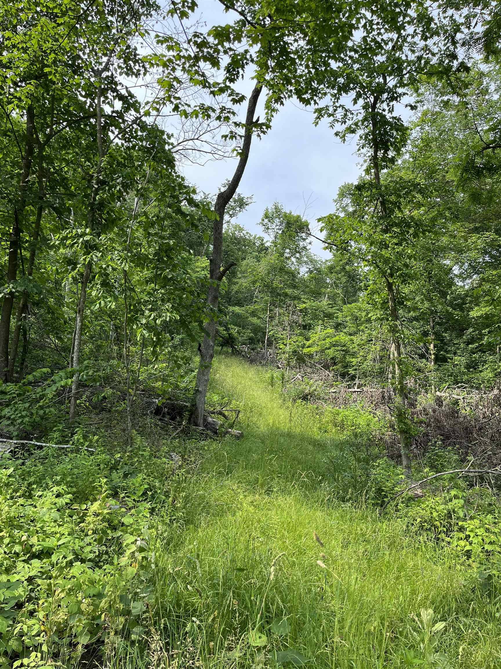 Ferryville, WI 54628,10.13 AC Deer Valley Trail