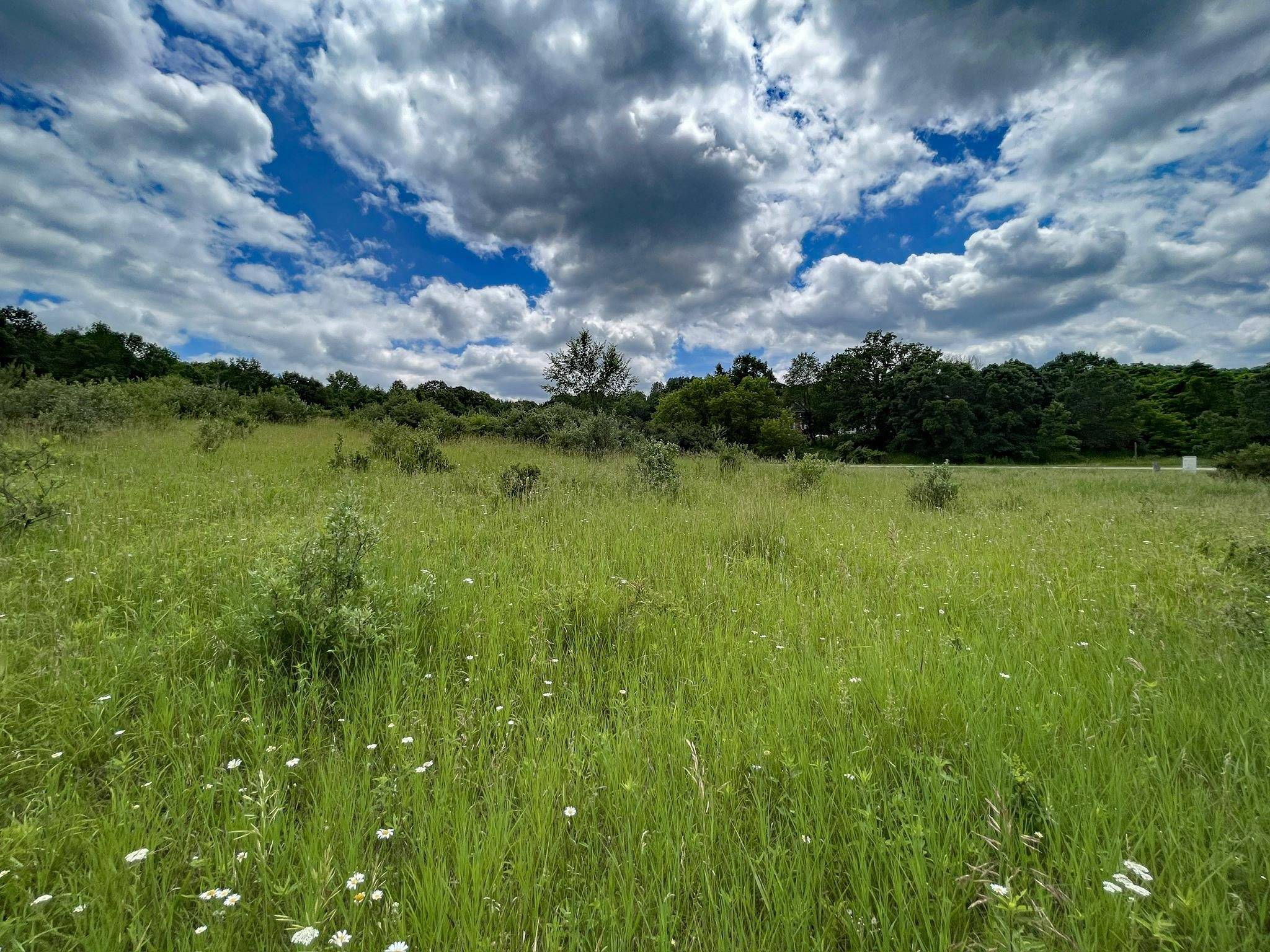 La Valle, WI 53941,L180 Black Forest Drive