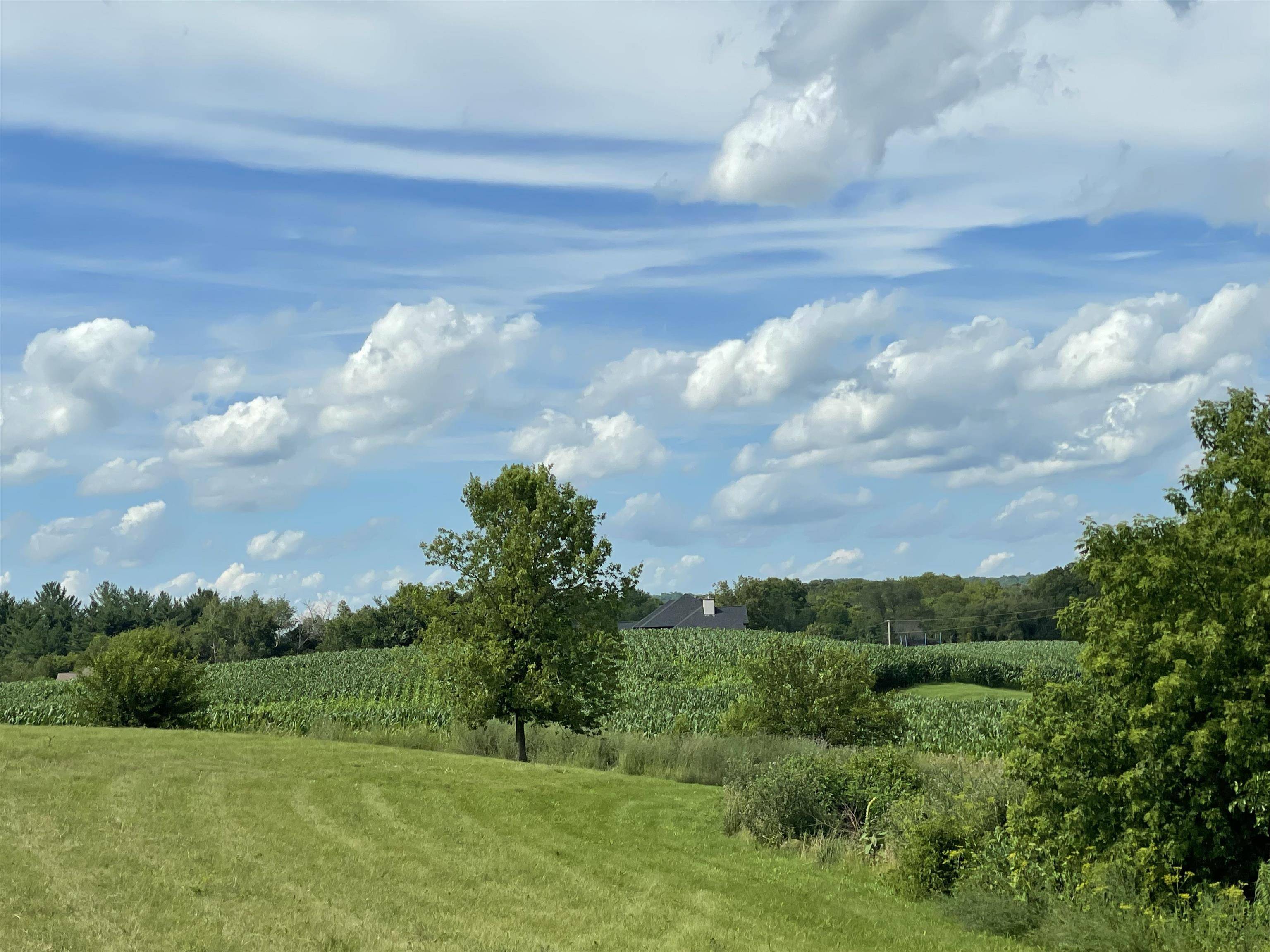 Sauk City, WI 53583,Lot 42 Jenny Lind