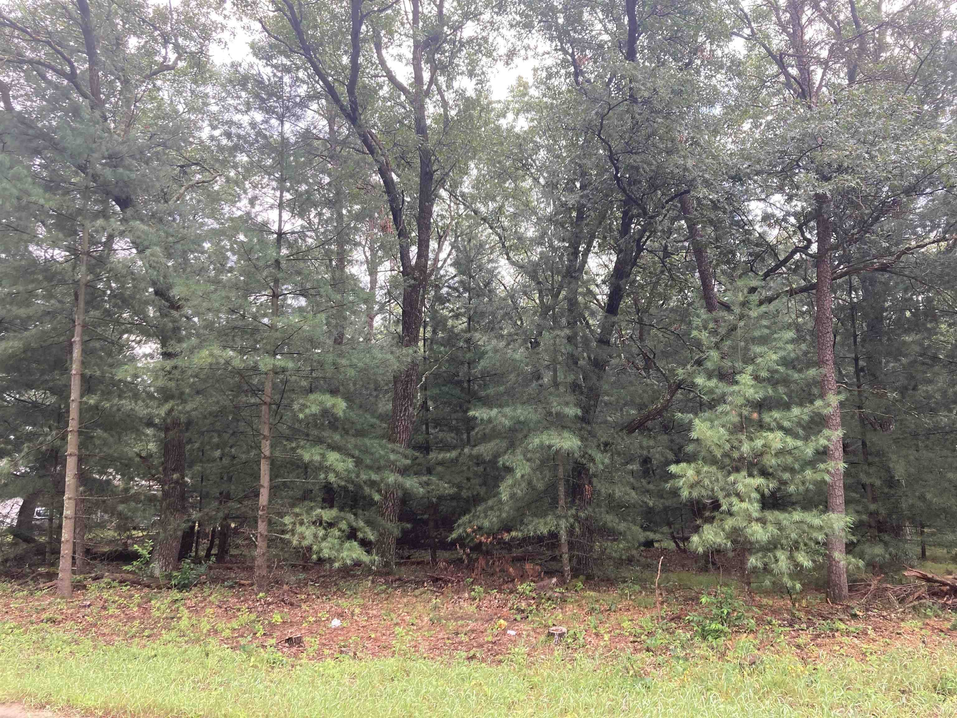 Wisconsin Dells, WI 53965,Lot 51 Fern Drive