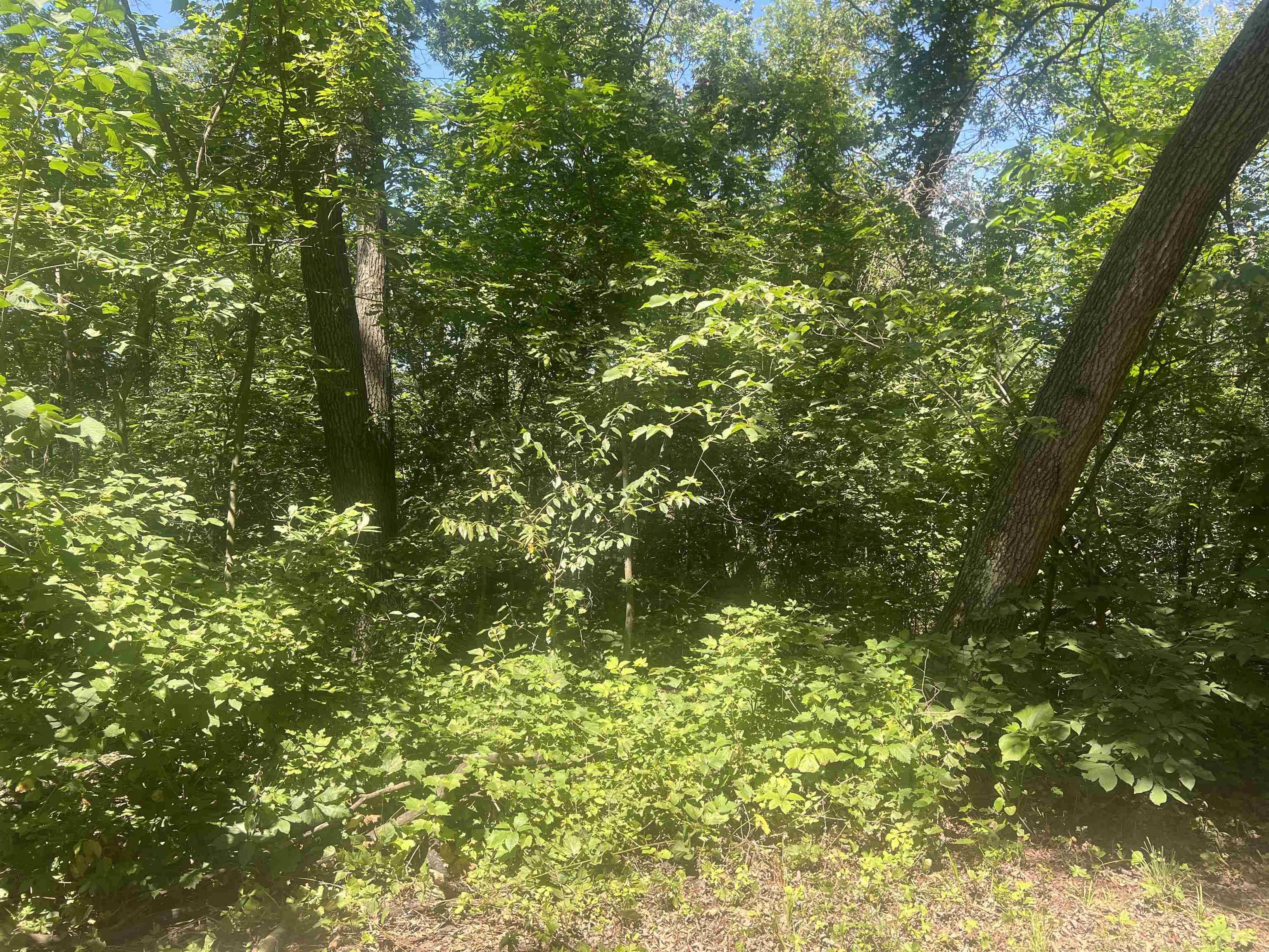 Belleville, WI 53508,Lot 1 Montrose Road