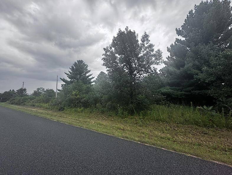 Wisconsin Dells, WI 53965,Lot 16 Gale