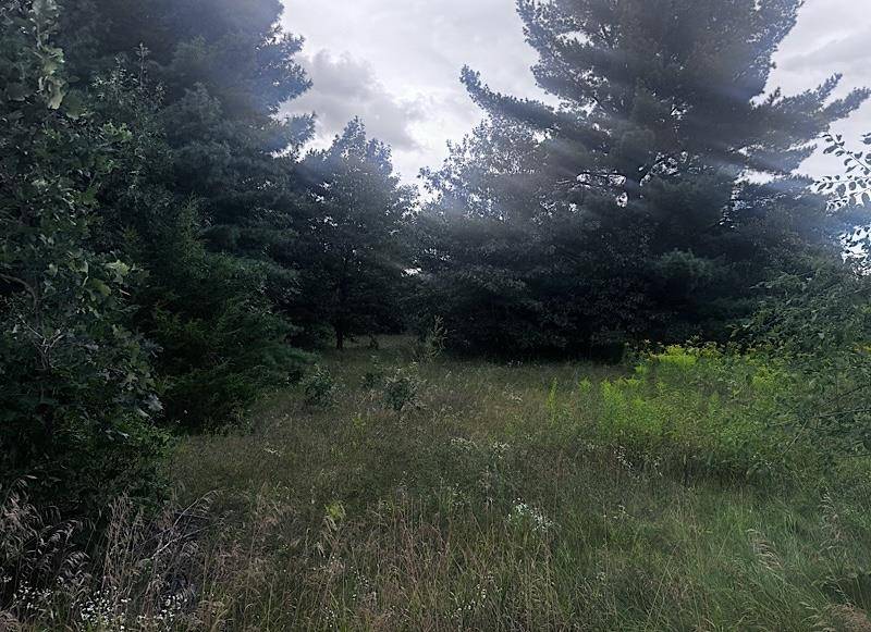 Wisconsin Dells, WI 53965,Lot 16 Gale