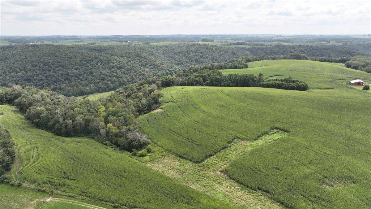 Viroqua, WI 54665,88.4 Acres Olson Lane