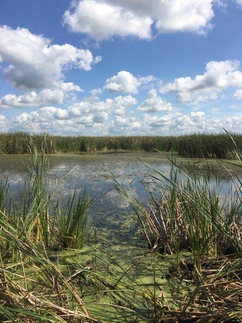 Green Lake, WI 54941-0000,20 acres Huckleberry Road