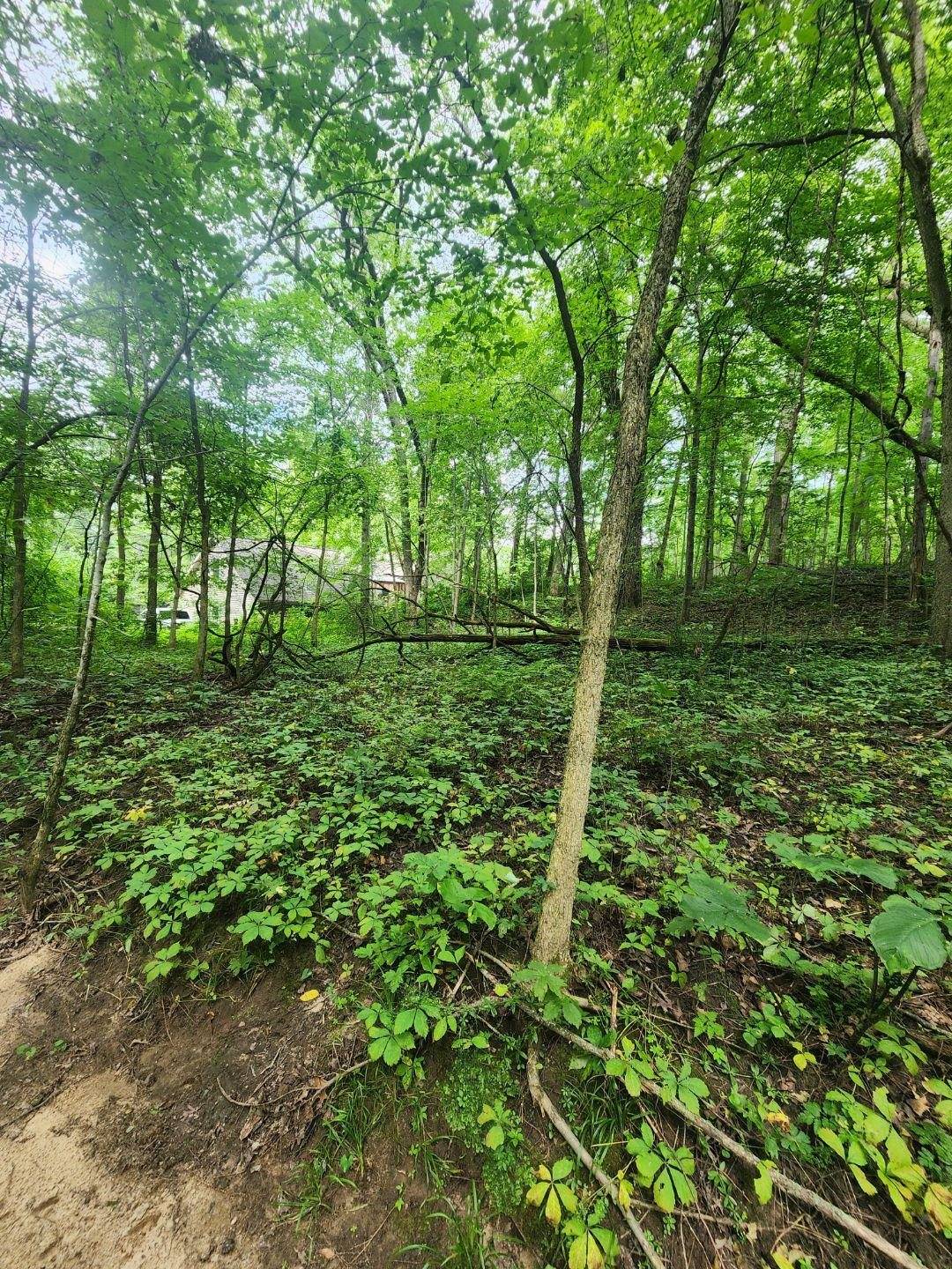 Poynette, WI 53955,Lot 8 & 9 Parkway Drive