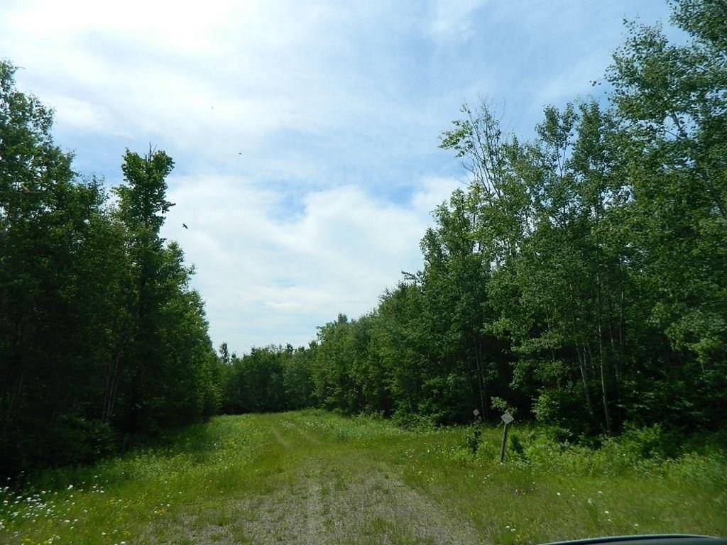 Winter, WI 54896,L10 & L11 Northern Shores Way