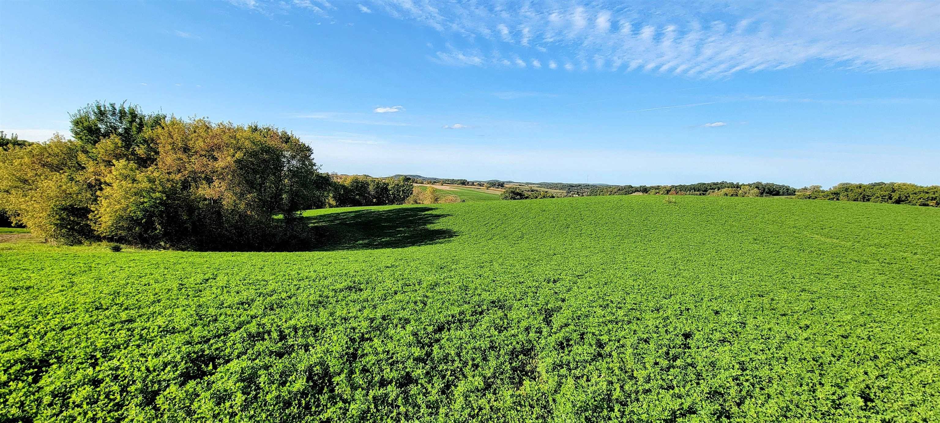 Tomah, WI 54660,Lot 12 Hemmingford Avenue