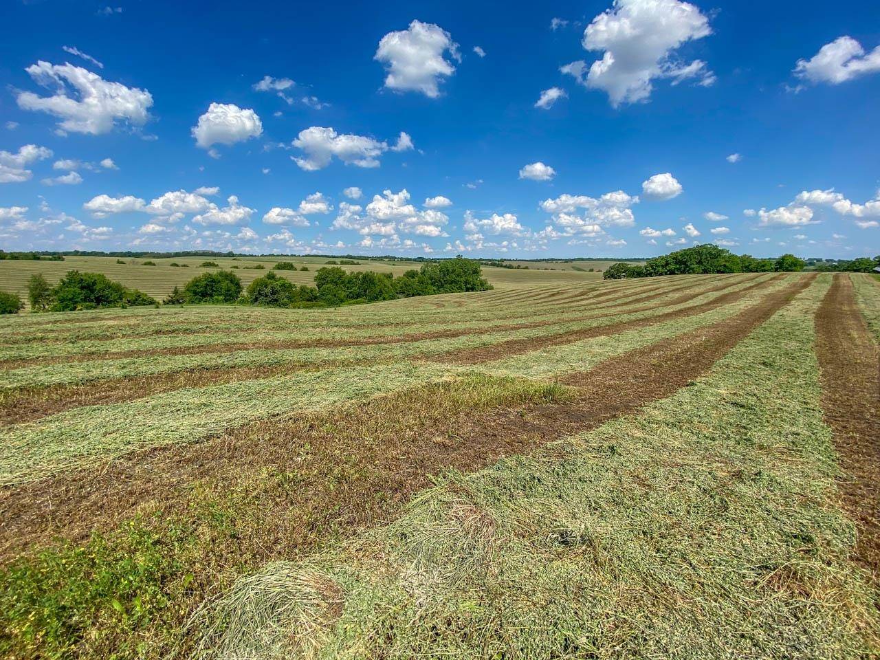 Monroe, WI 53566,150 +/- Acres County Road DR
