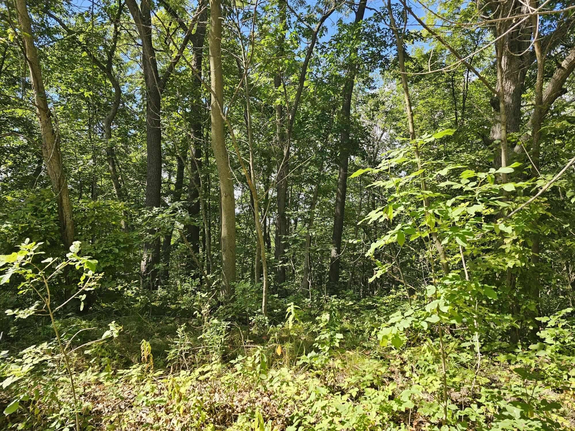 Eastman, WI 54626,20667 Deer Island View Road