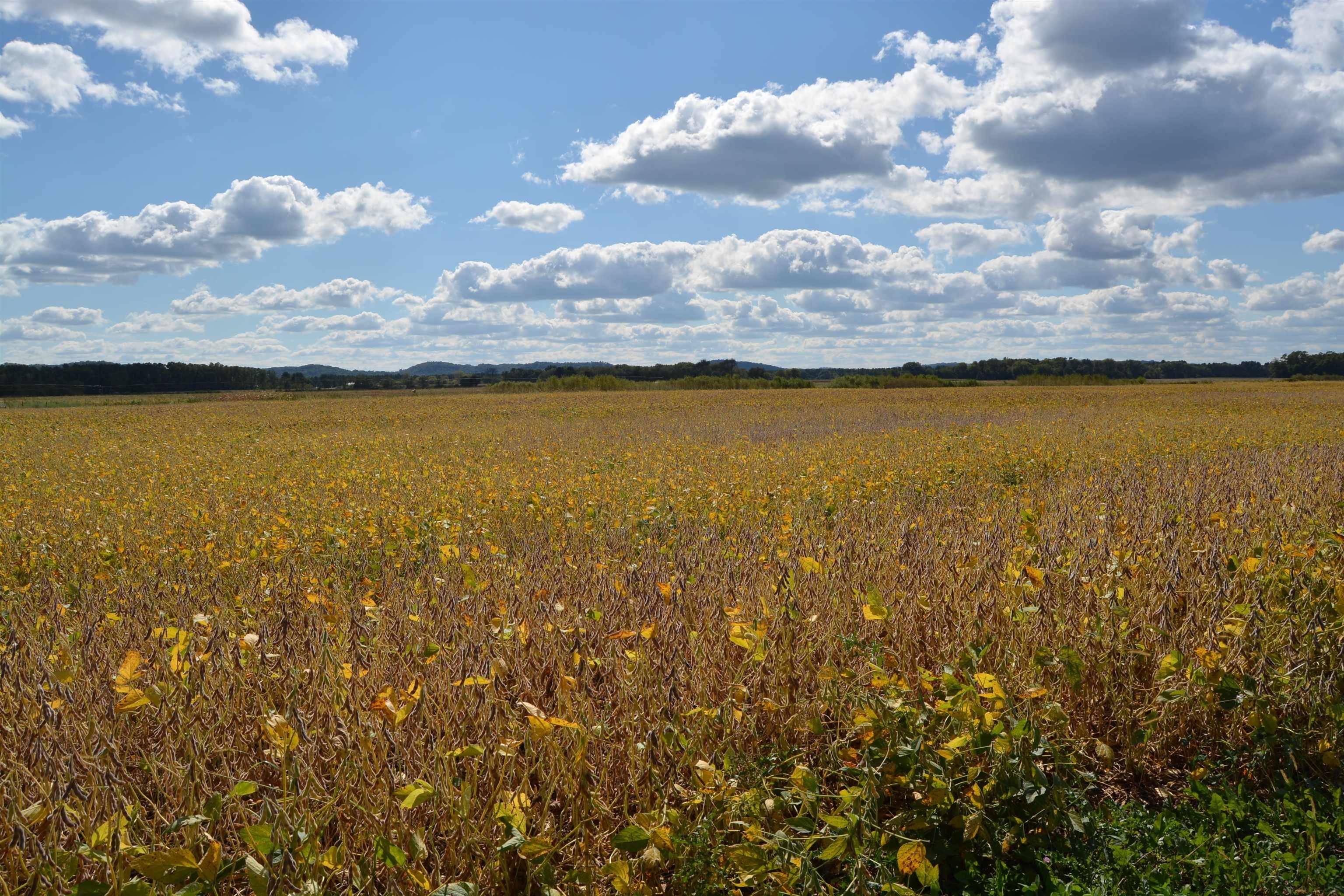 Spring Green, WI 53588,Lot 11 Sommerset Road