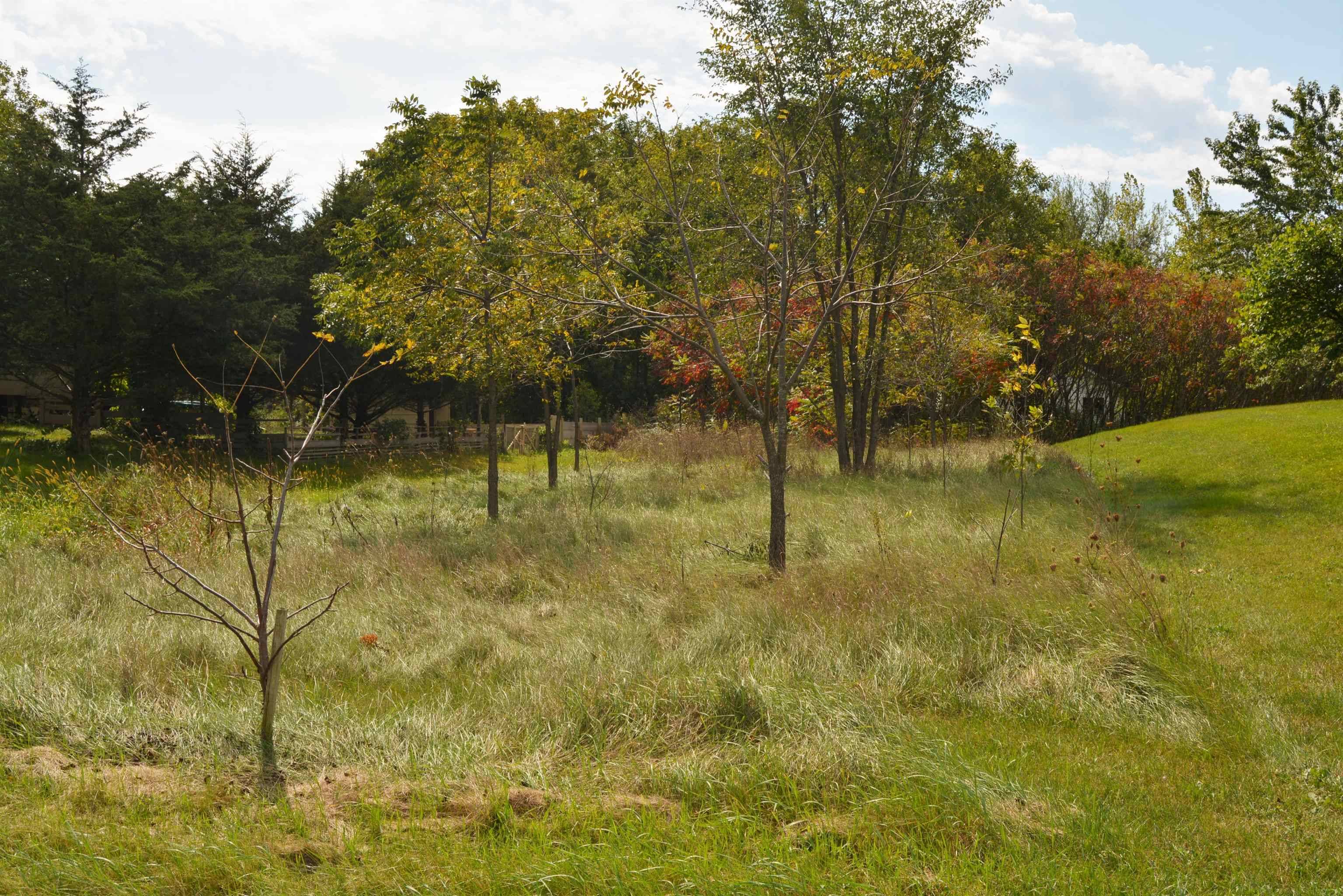 Spring Green, WI 53588,Lot 88 Westmor Street