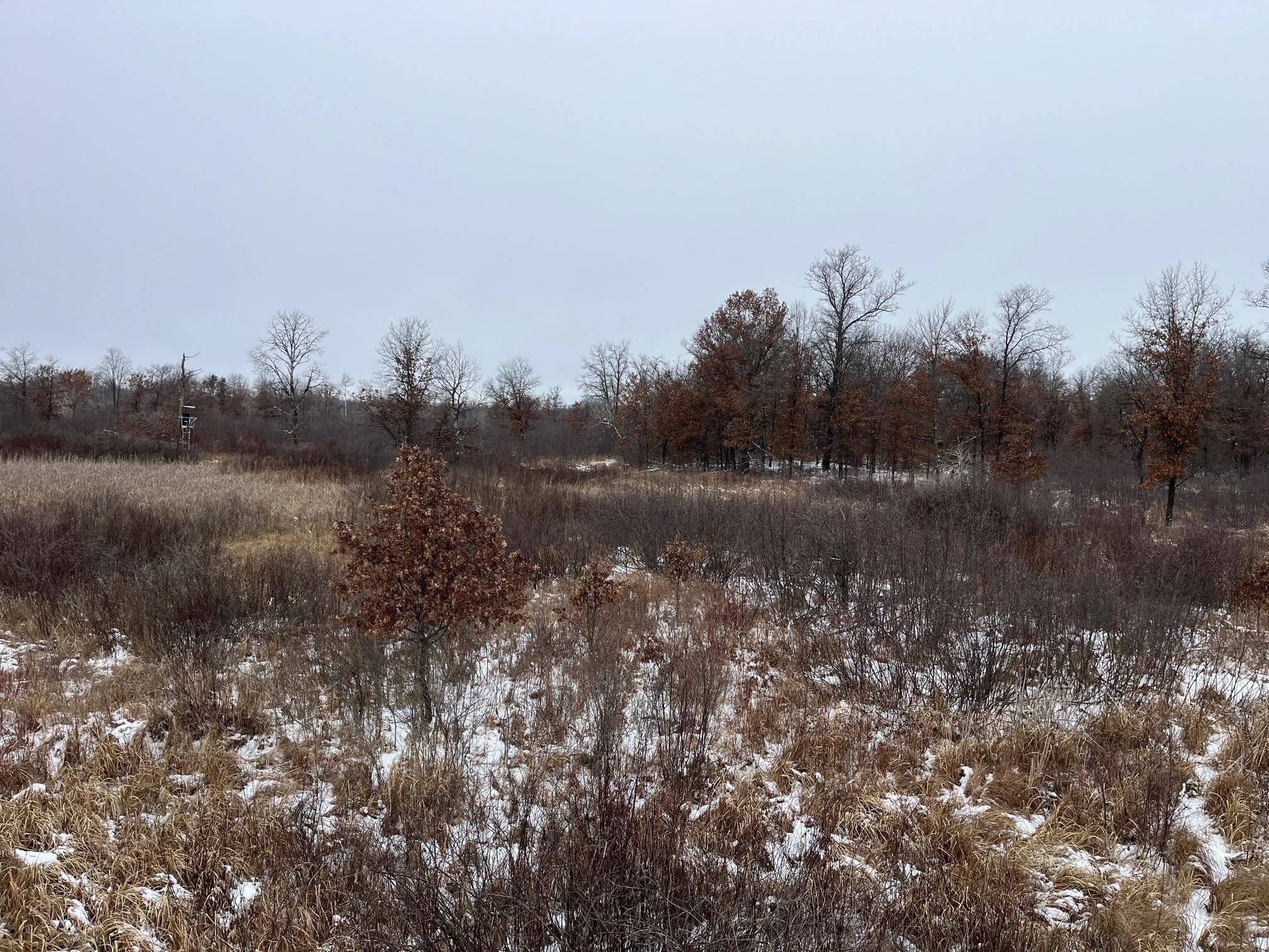 Friendship, WI 53934,39 Acres Cottonville Avenue