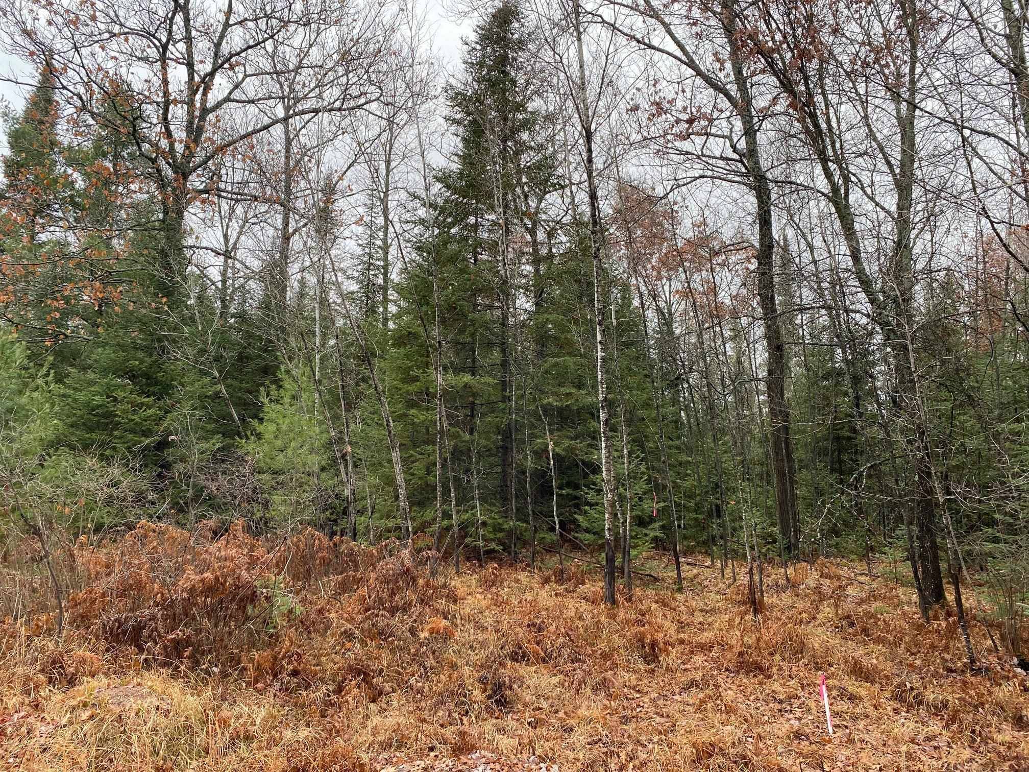 Rhinelander, WI 54501,Moen Lake Drive