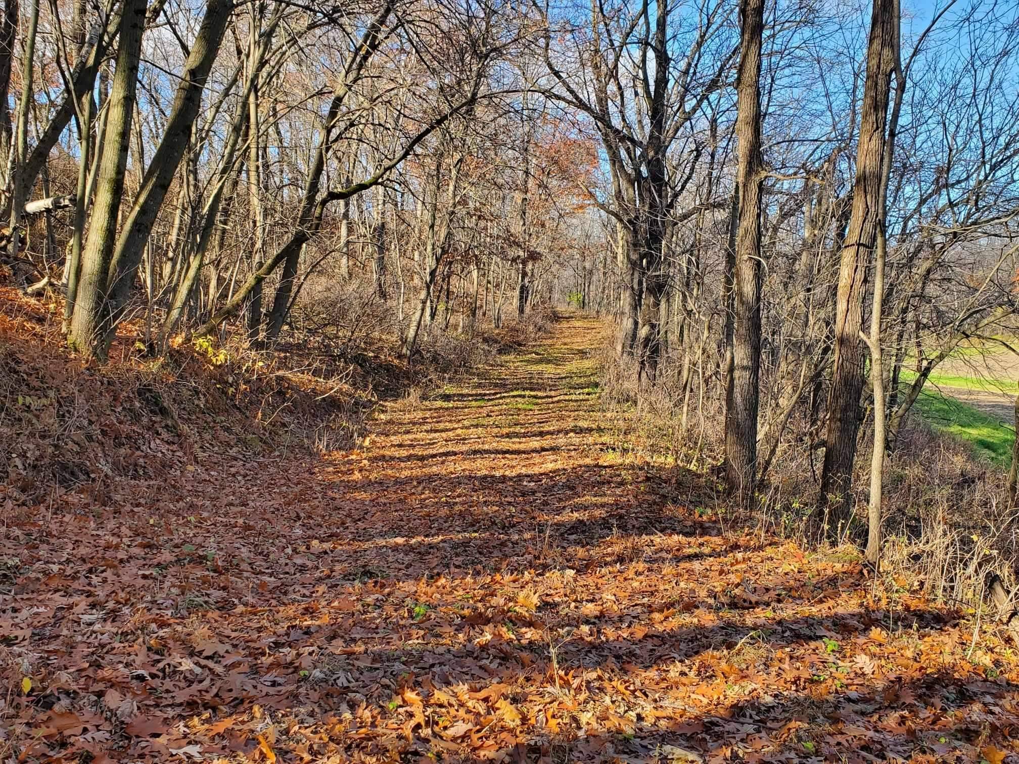 Ferryville, WI 54628,117 +/- acres Gilman Road