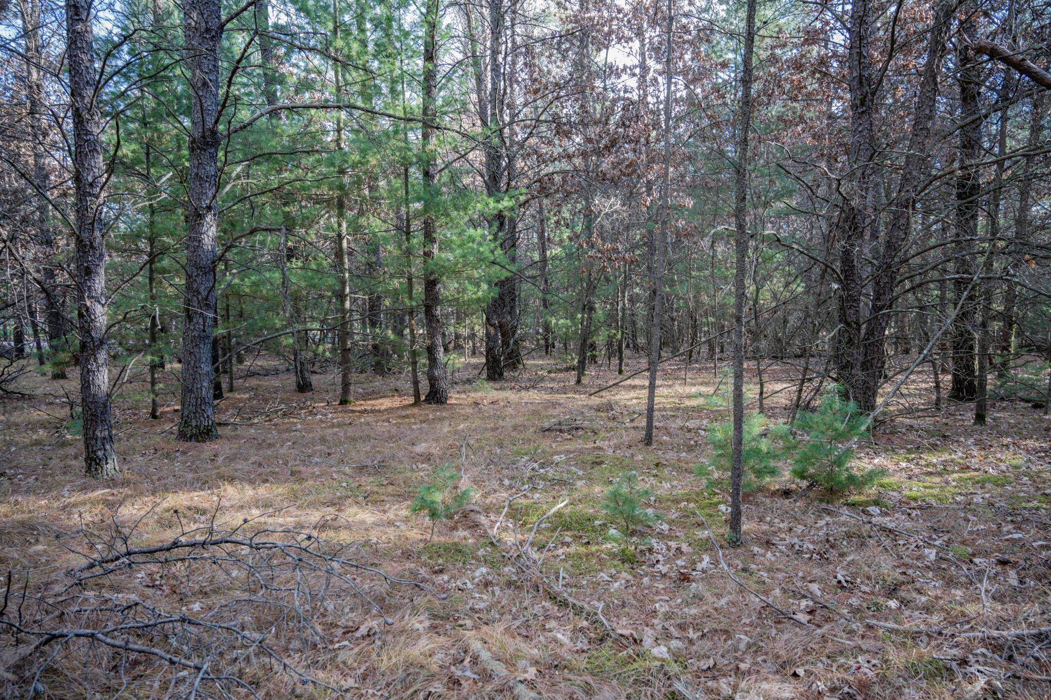 New Lisbon, WI 53950,Lot 3 Meadow Drive