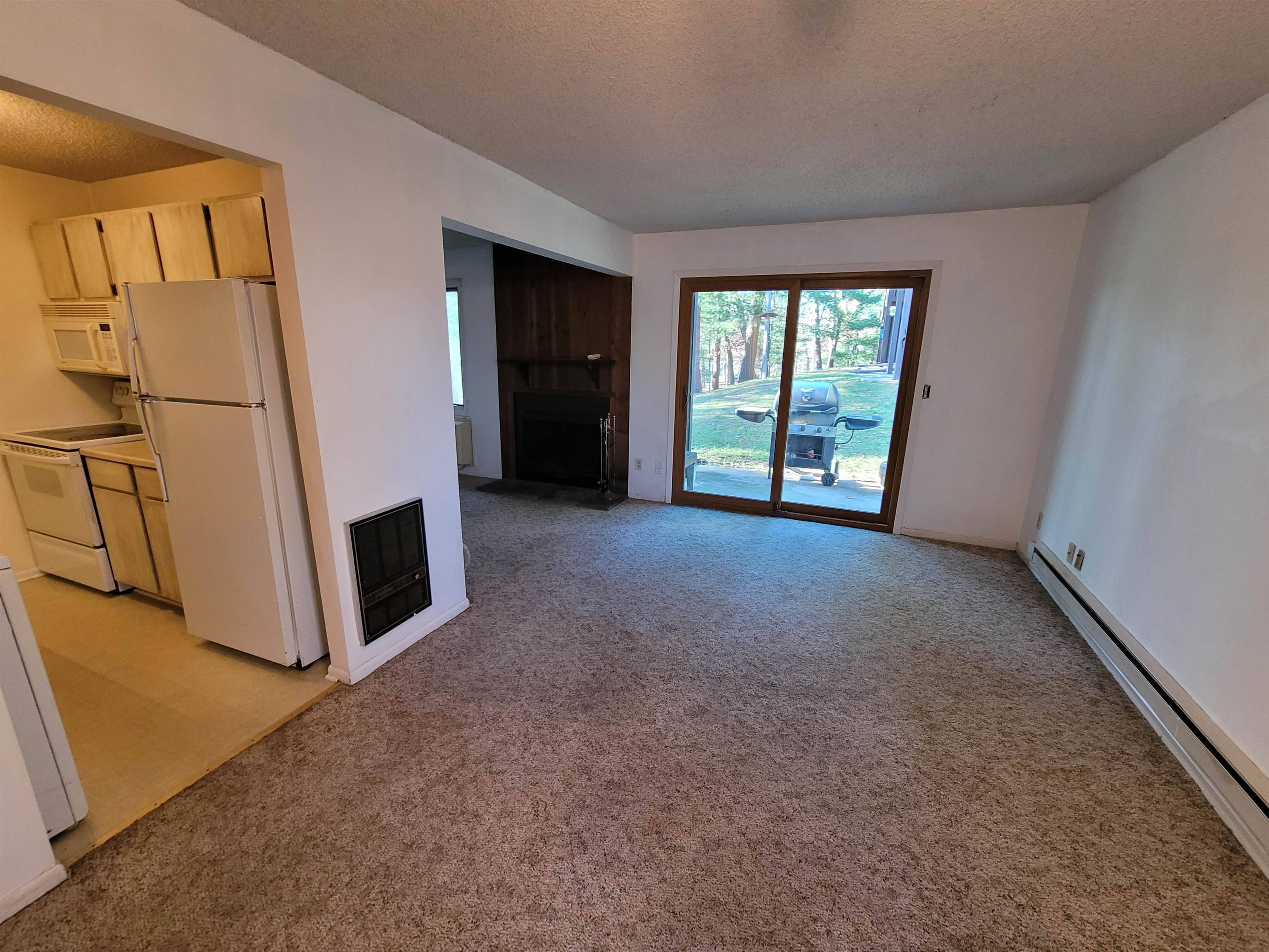 Wisconsin Dells, WI 53965,1 Aspen Trail #1