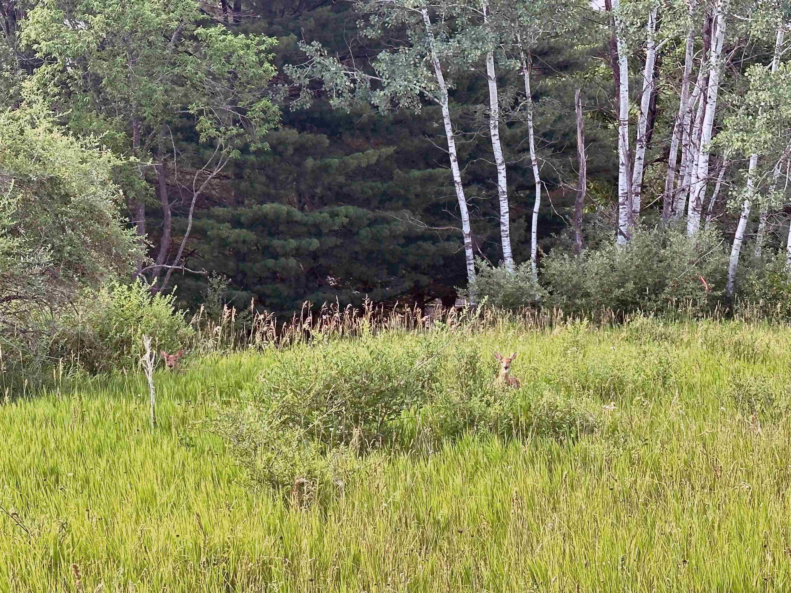 La Valle, WI 53941,L483-484 Summit Point Drive