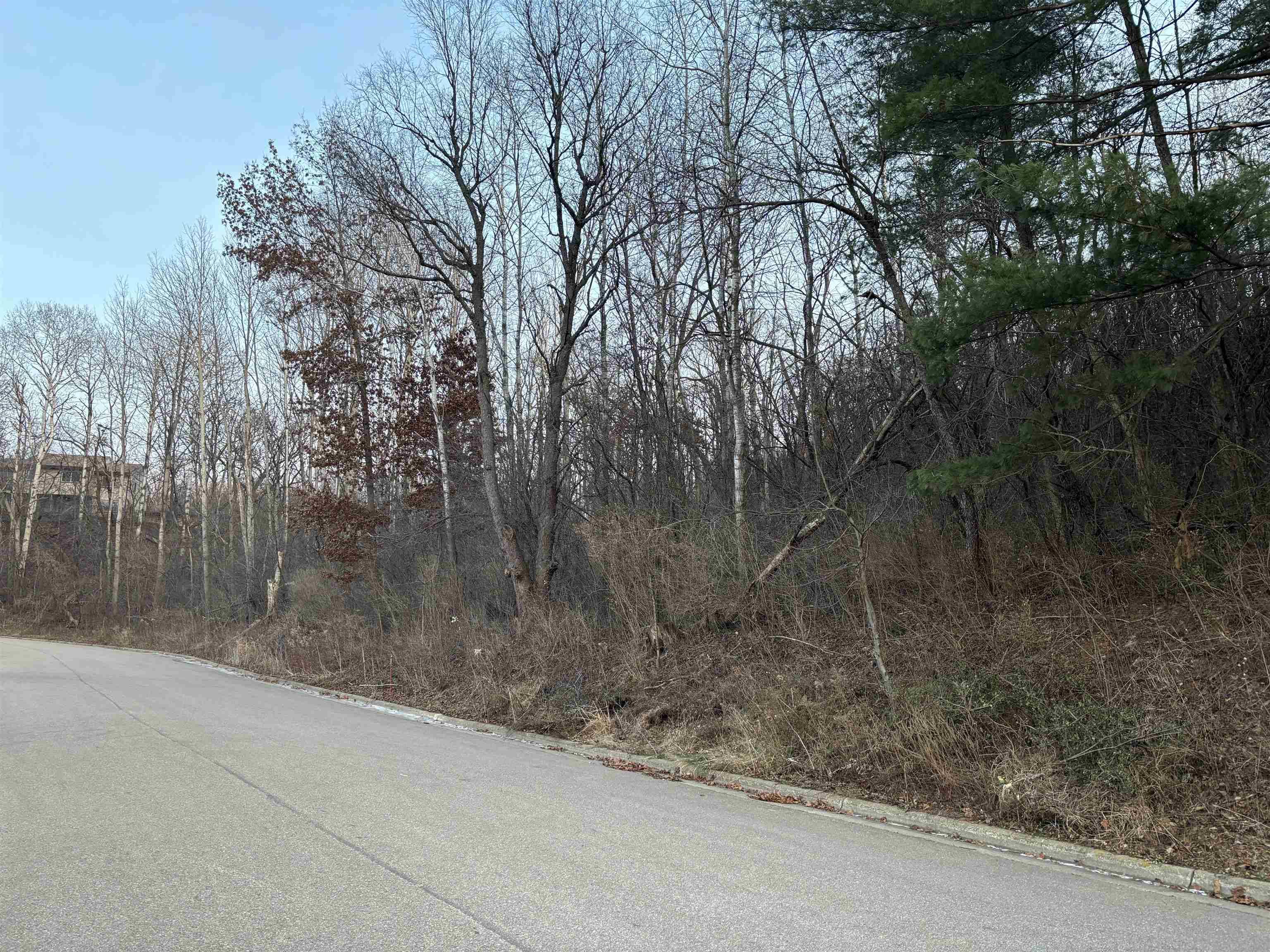 Cross Plains, WI 53528,2712 Birchwood Pass