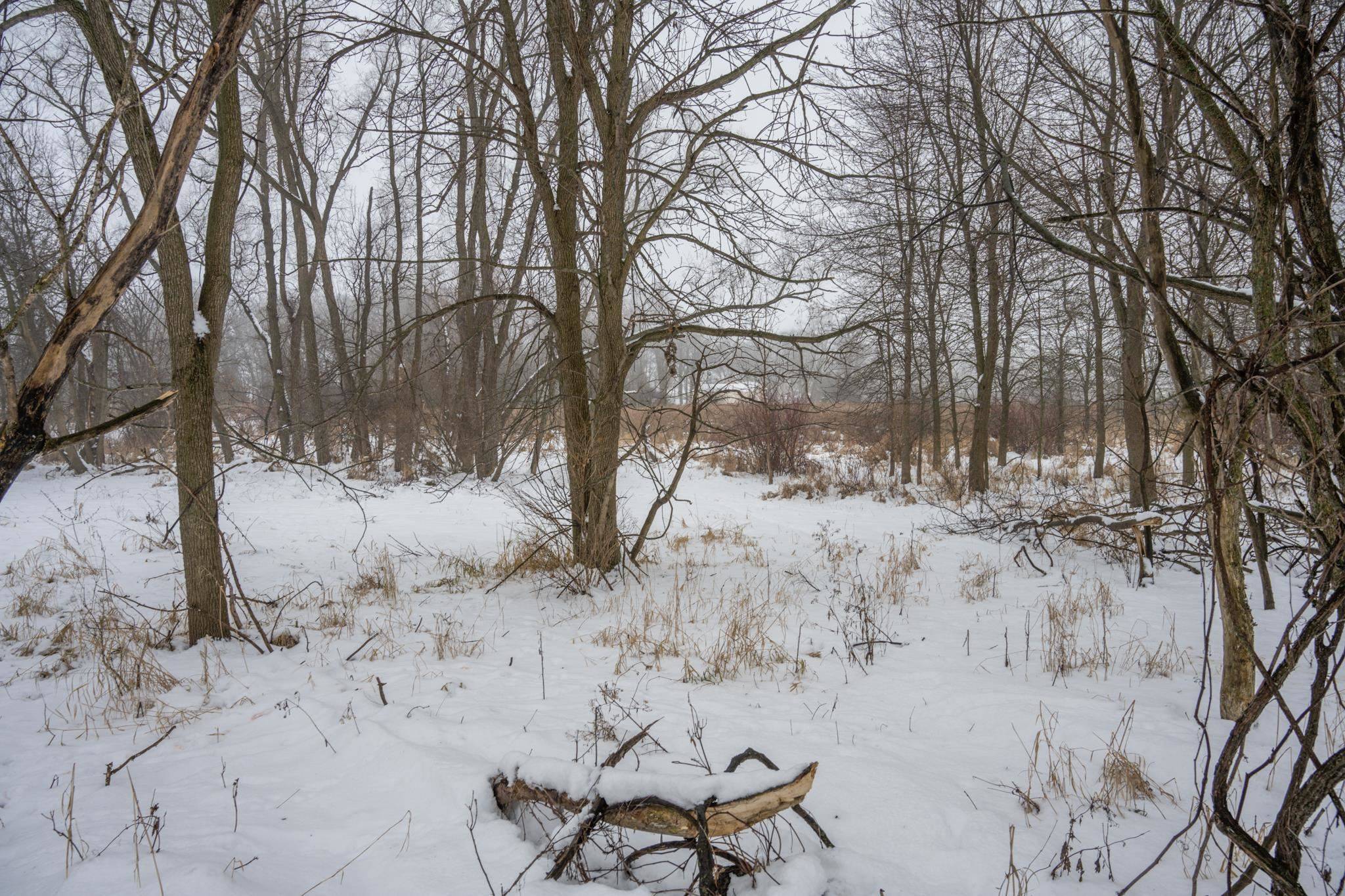 Fox Lake, WI 53933,W10802 Blackhawk Trail