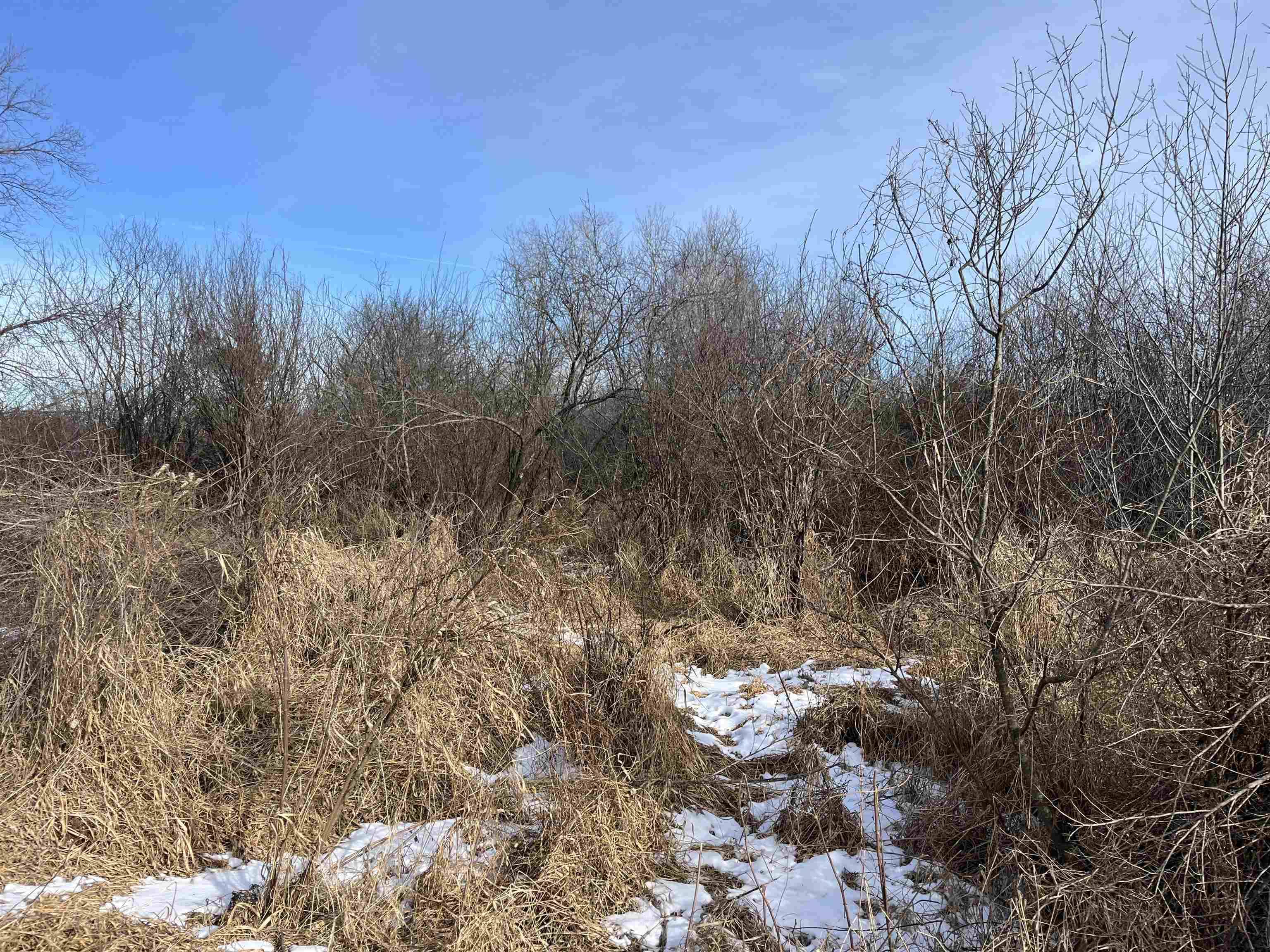 Tomah, WI 54660,000 Grapevine Avenue