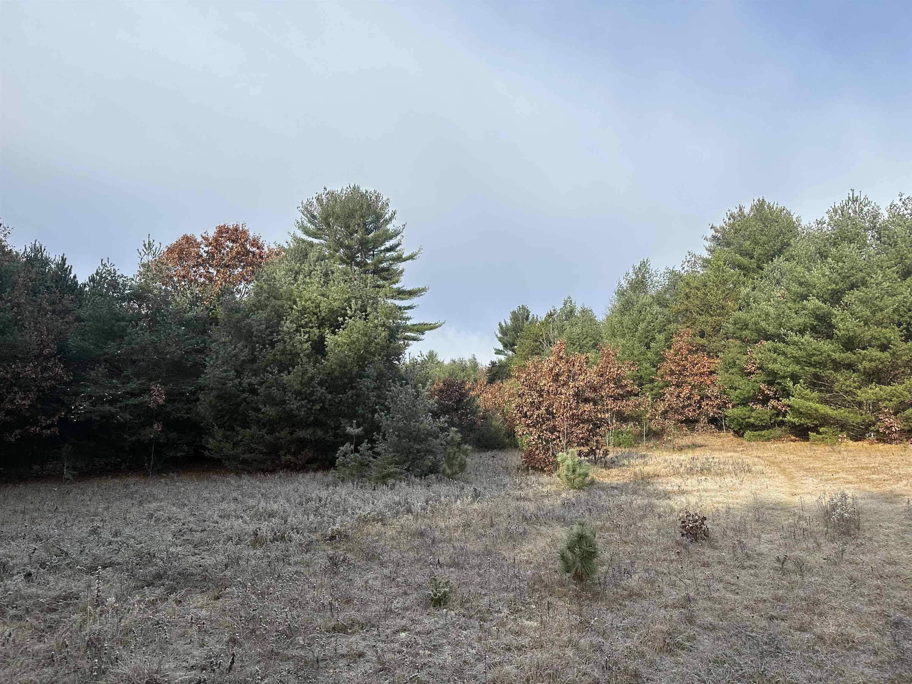 Redgranite, WI 54970,122+/-acres Happersett Lane
