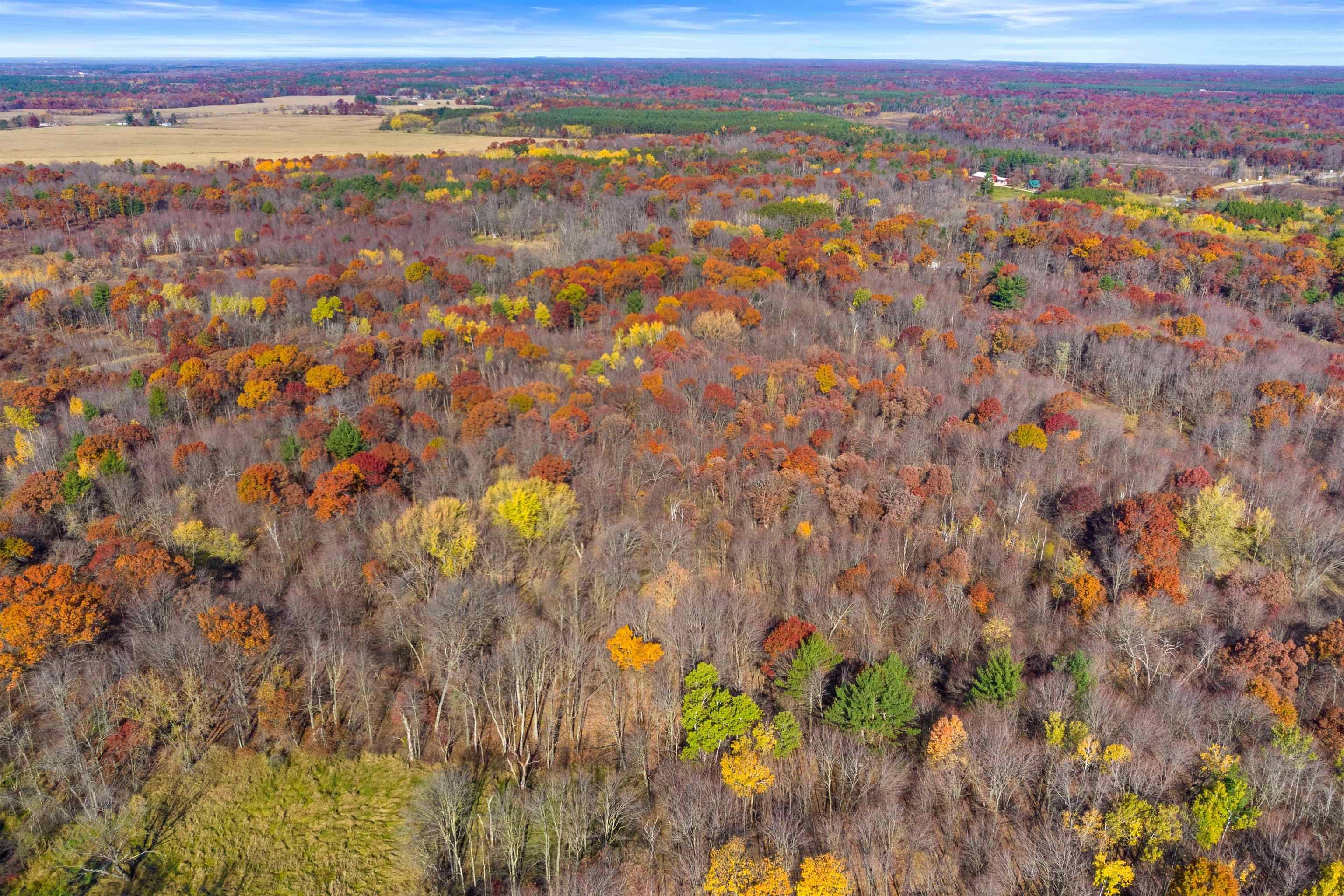 New Lisbon, WI 53950,Highway 80