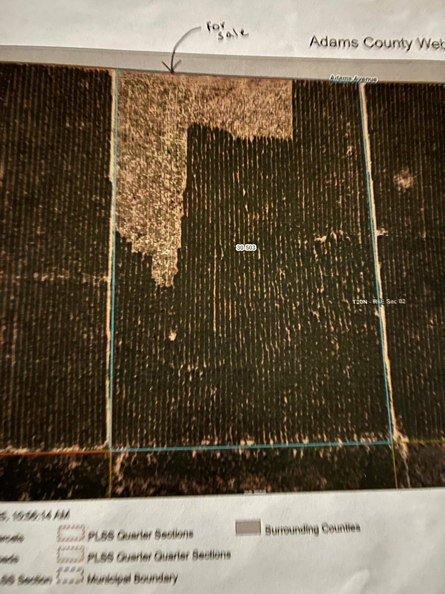 Nekoosa, WI 54457,57.71 AC Adams Avenue