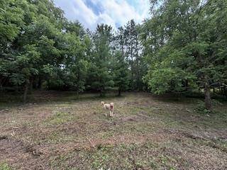 Merrimac, WI 53561,Lot 4 Church Street