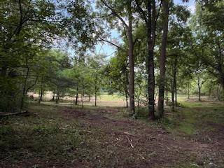 Merrimac, WI 53561,Lot 2 Church Street
