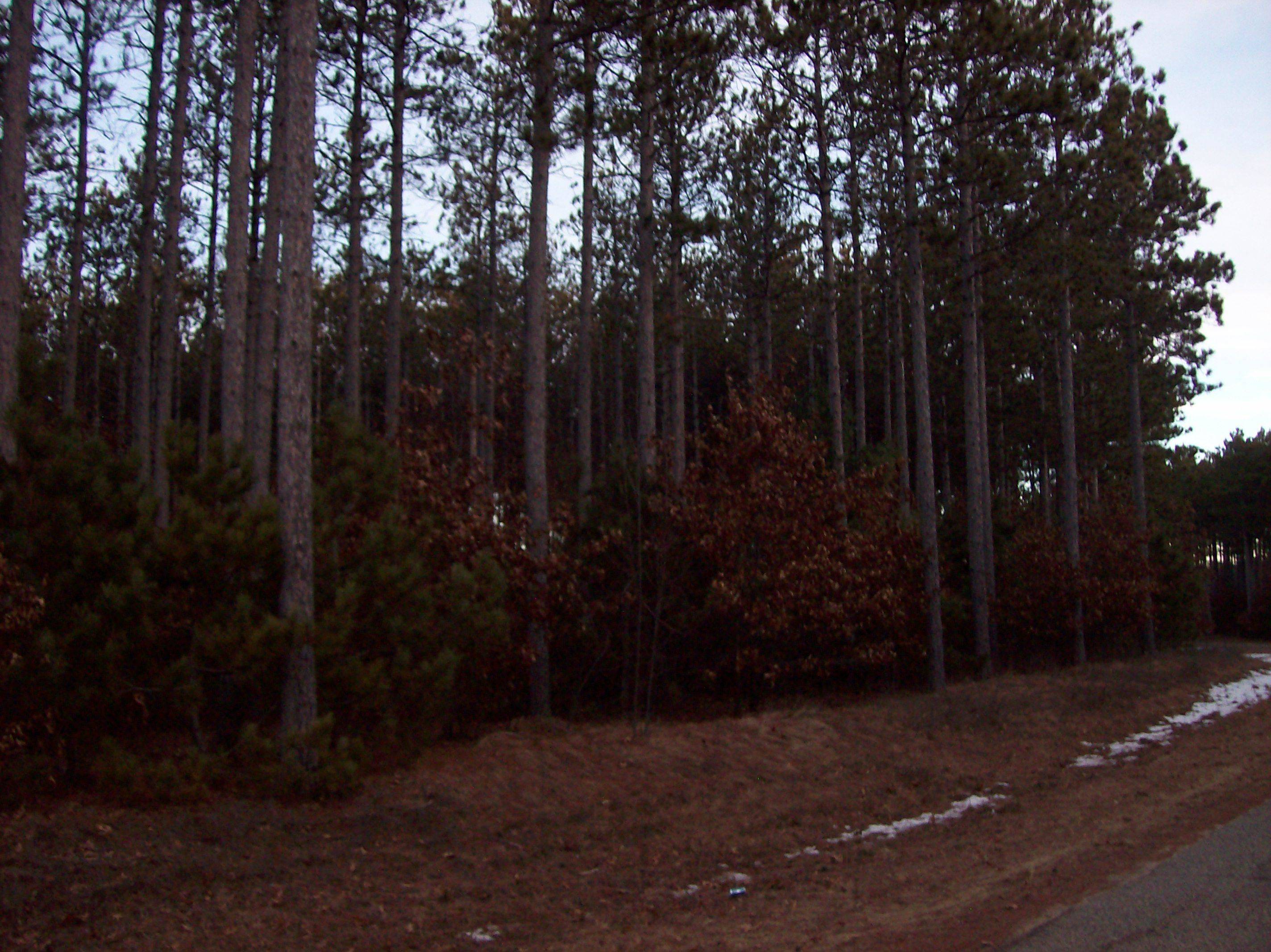 Nekoosa, WI 54457,Corner of 7th Porter Road