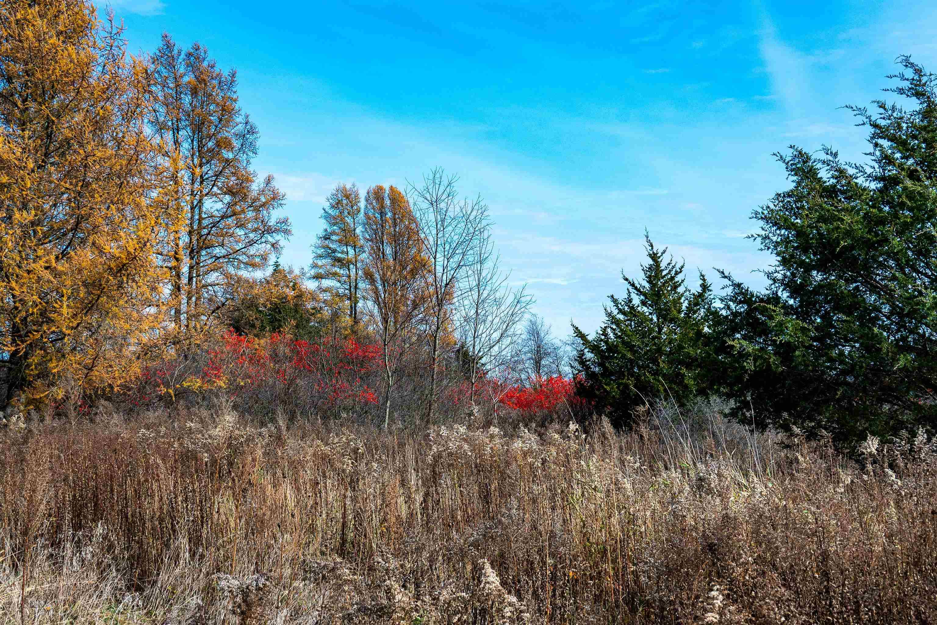 Berlin, WI 54923,72 Ac. Czech Drive
