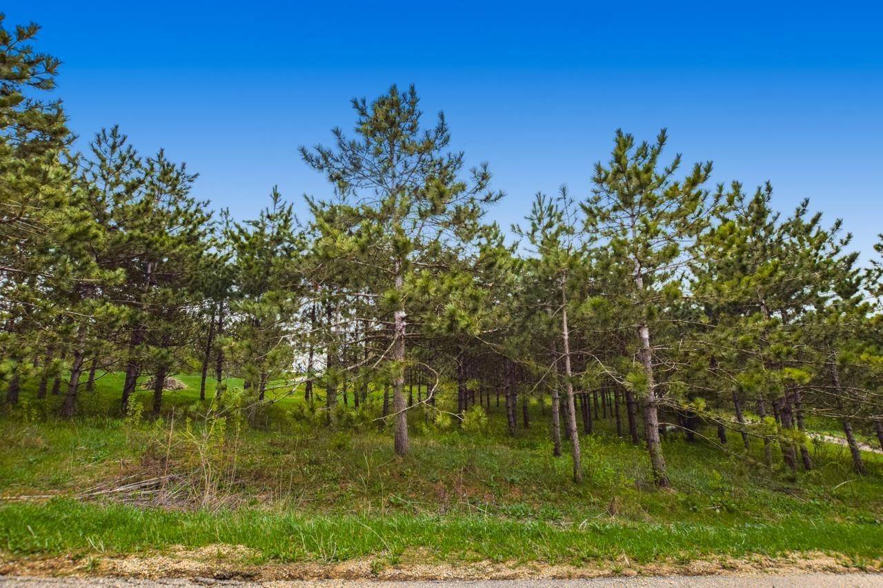 Verona, WI 53593,Lot 1 Davis Street