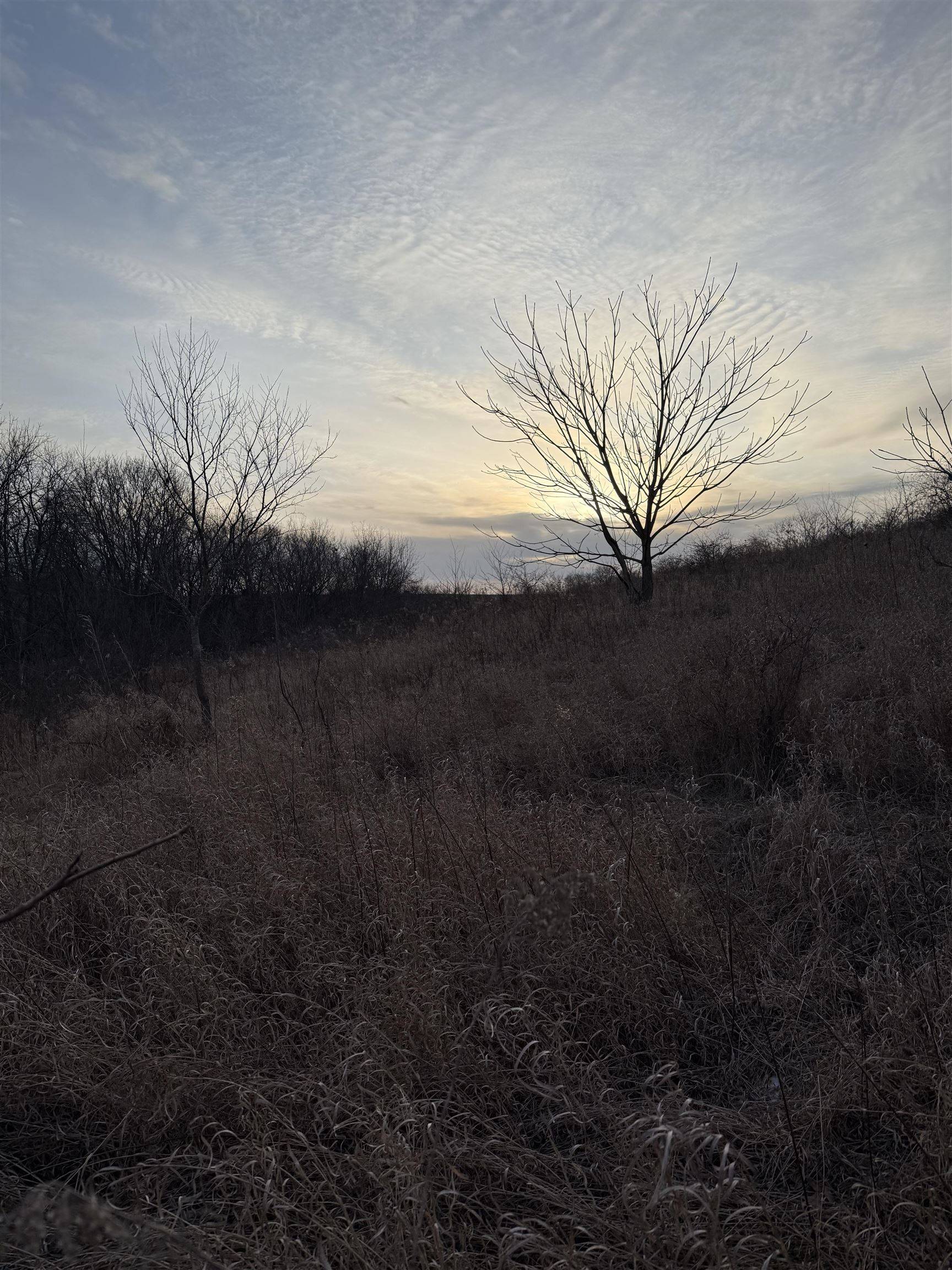 Steuben, WI 54657,23600 W Fawn Drive