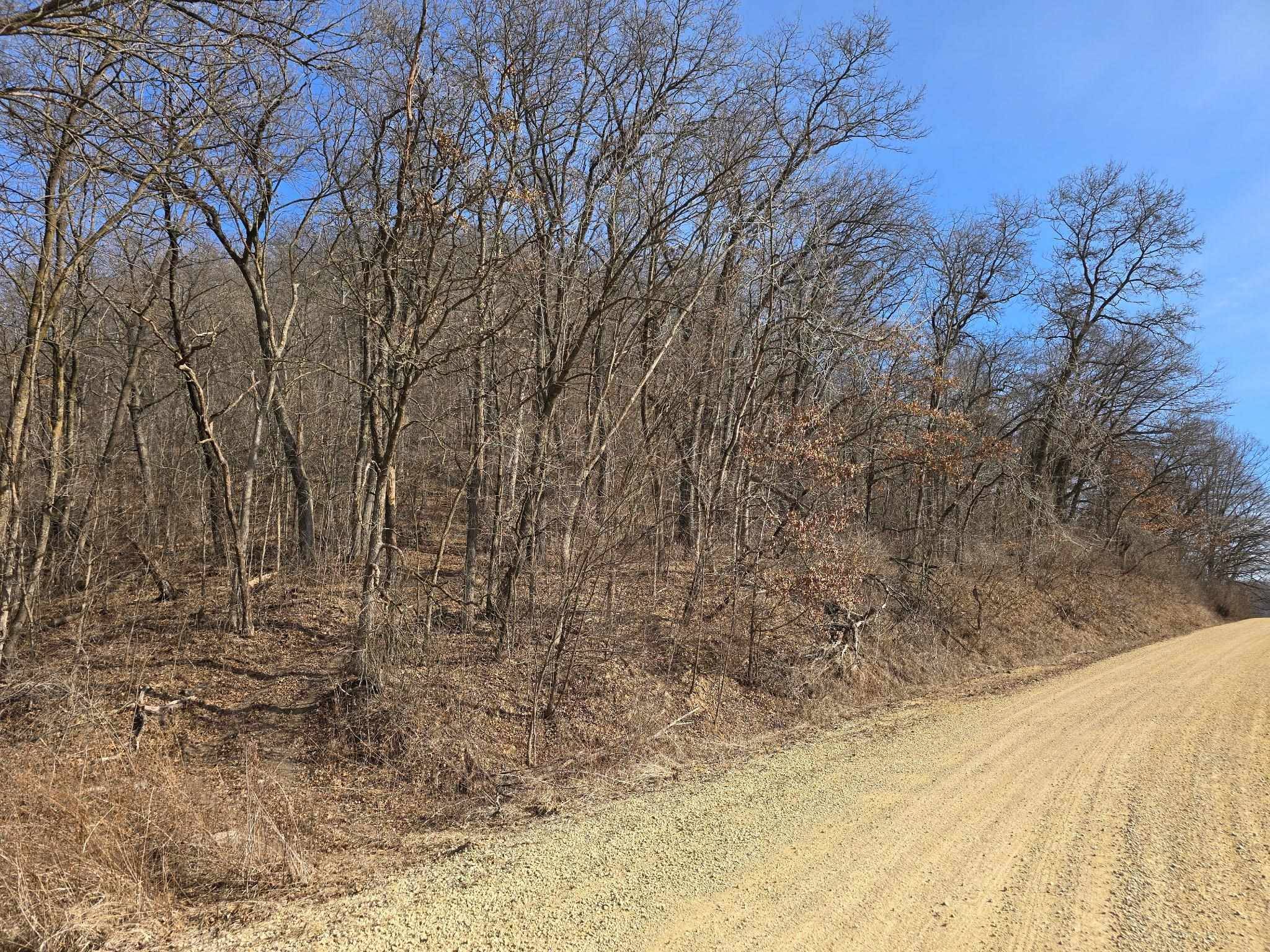 Ferryville, WI 54628,40 Acres Rush Creek Road