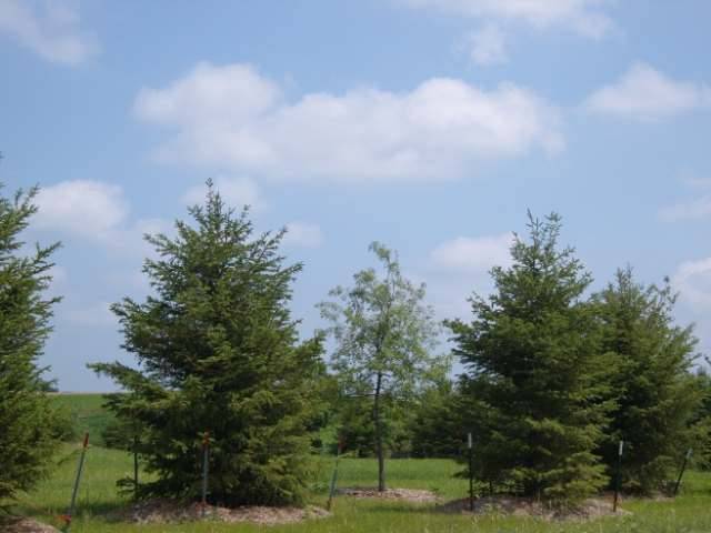Sun Prairie, WI 53590,L126 Lucas Lane