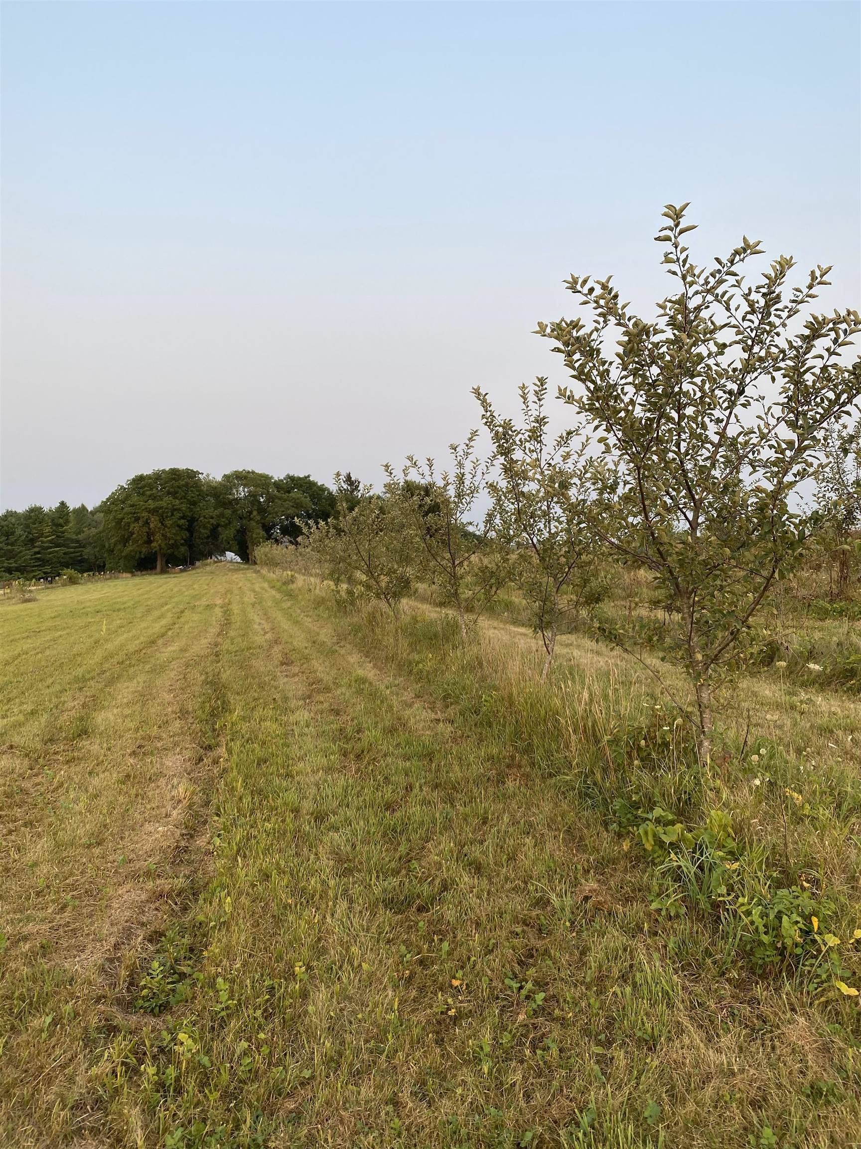 Barneveld, WI 53507,7321 Jones Road