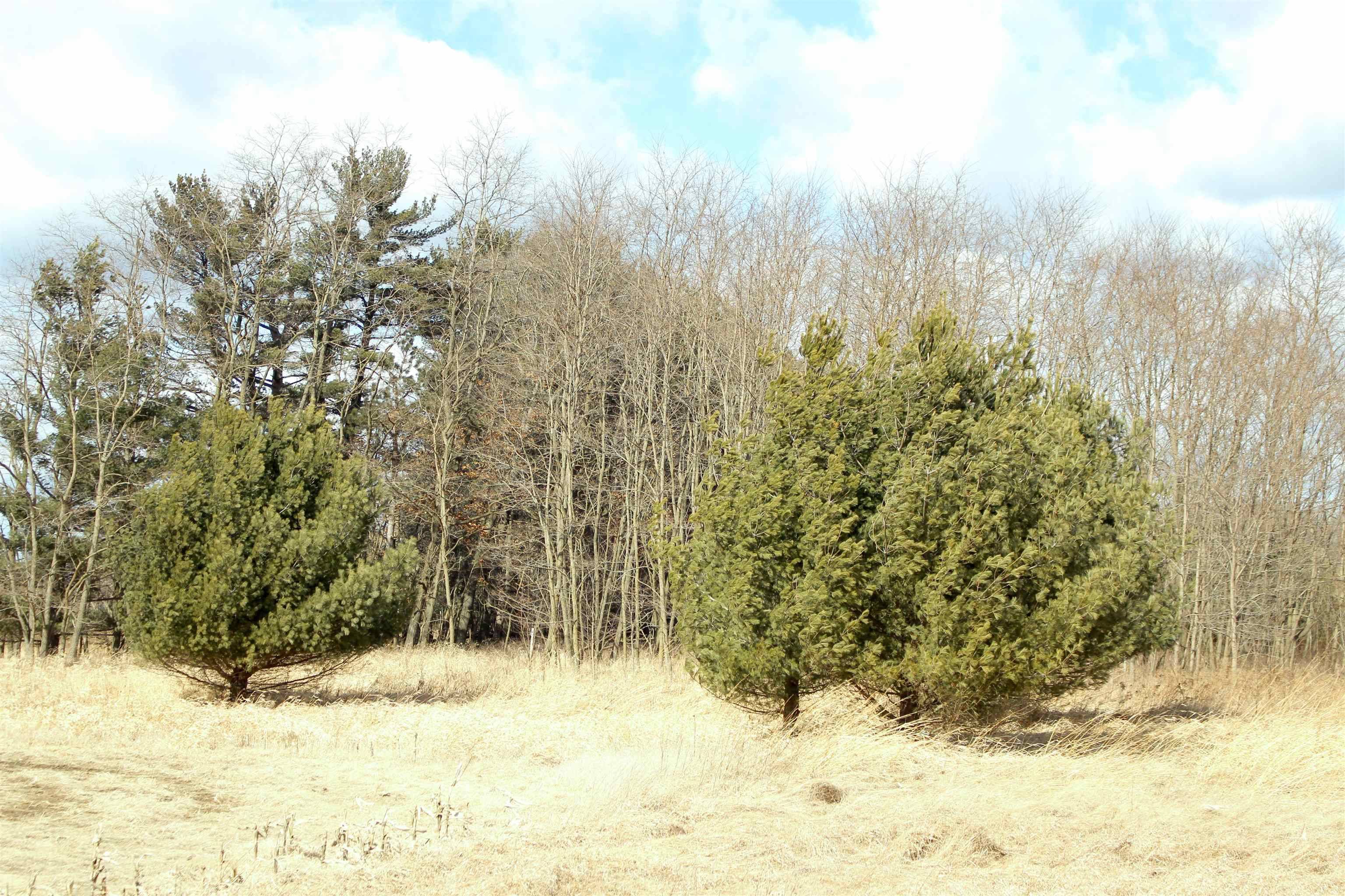 New Lisbon, WI 53950,W7530 38th Street