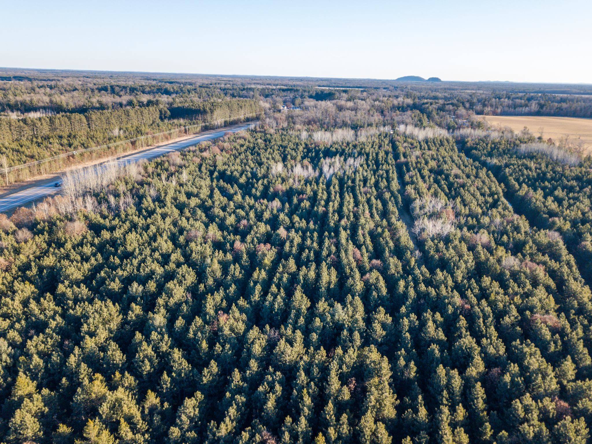 Friendship, WI 53934,Lot 1 11th Drive