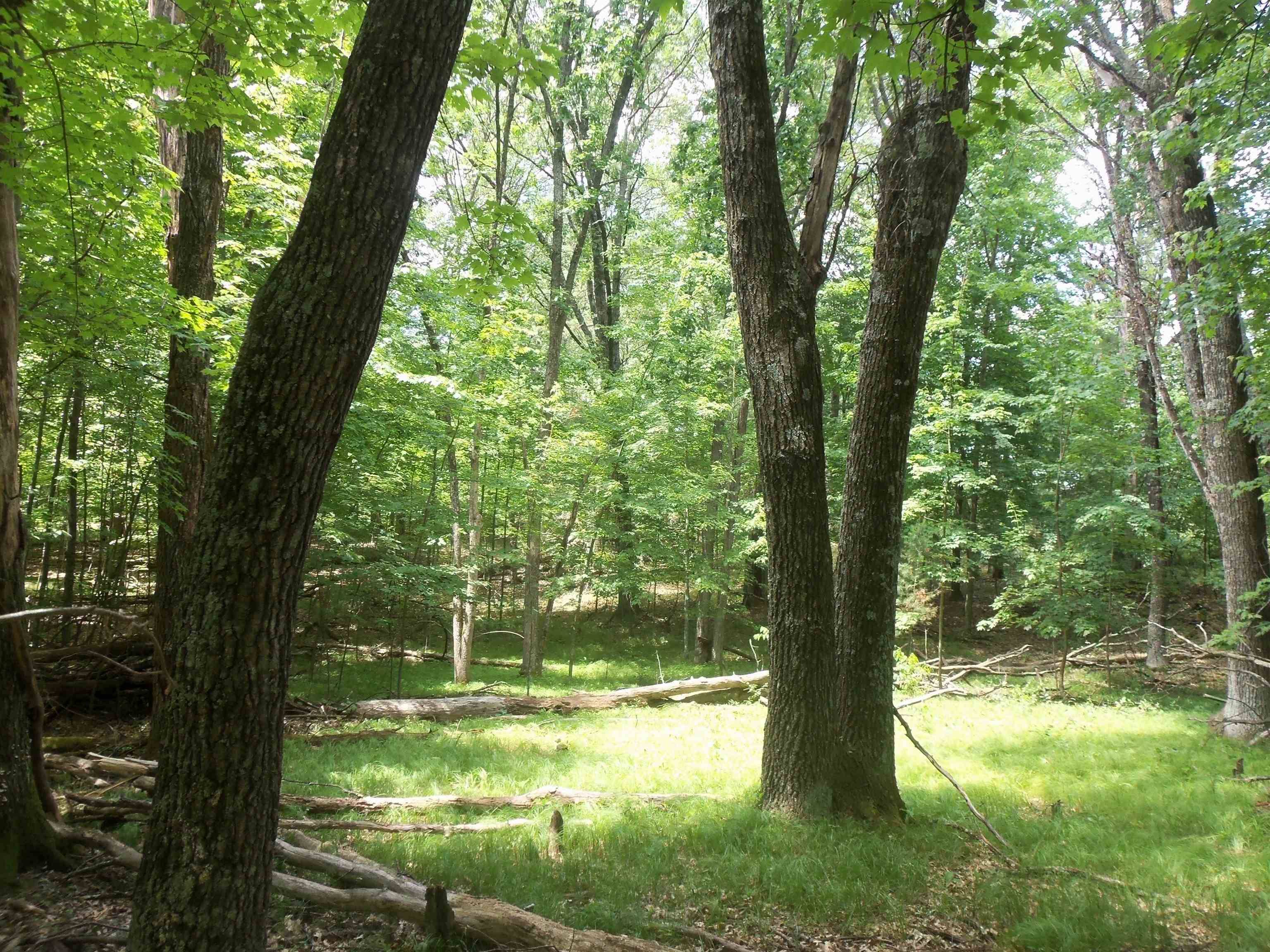 Arkdale, WI 54613,L4 S Badger Court