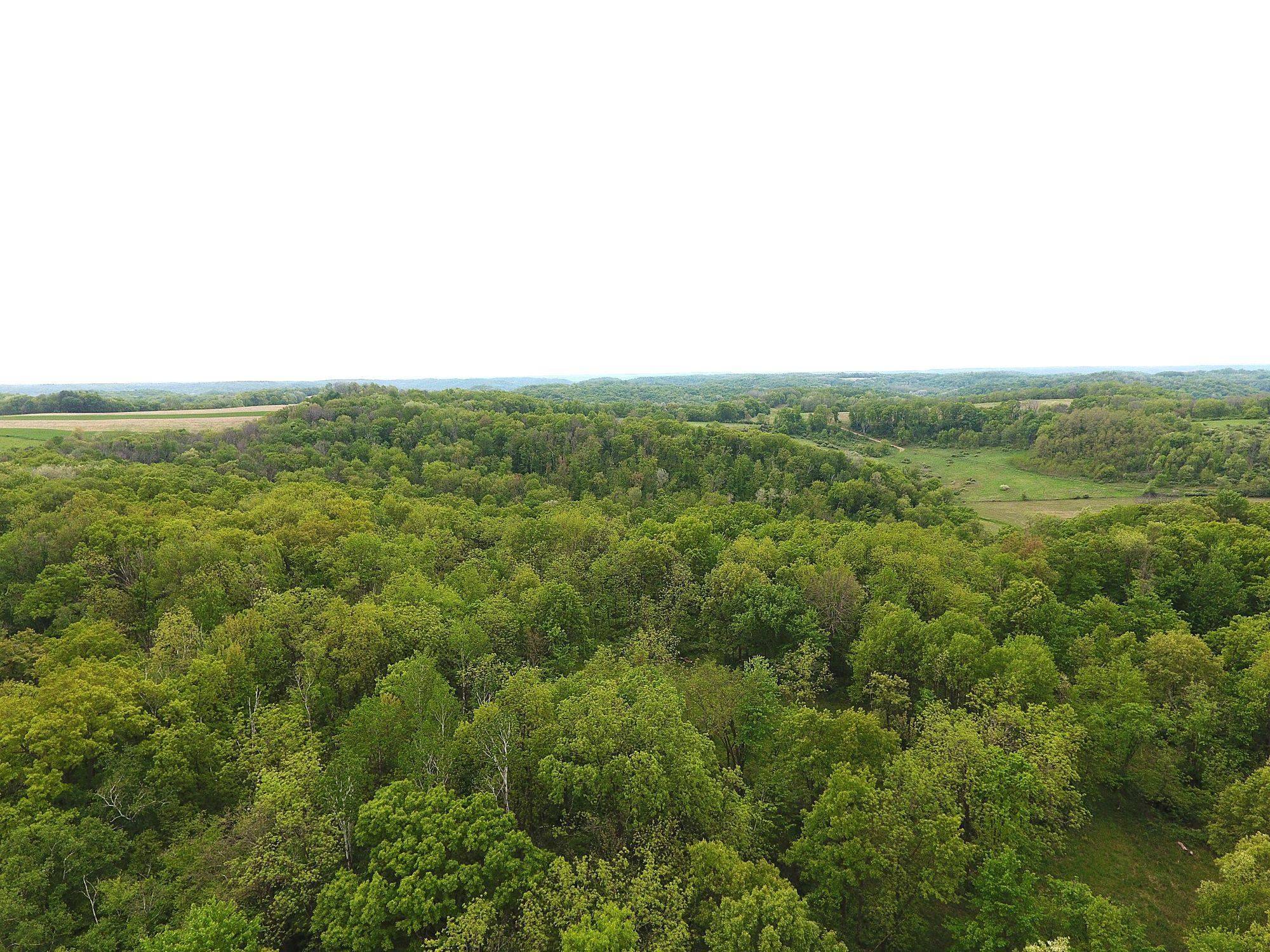 Richland Center, WI 53581,30639 Nebraska Hollow Road