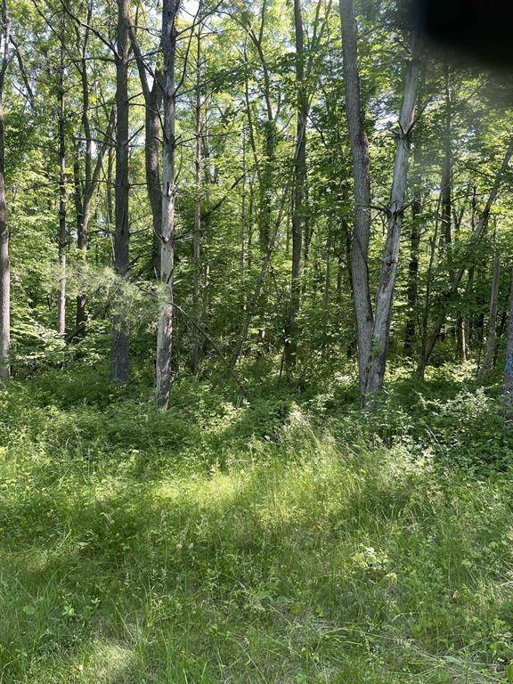 Potosi, WI 53820,49 A +/- Hippy Hollow Road