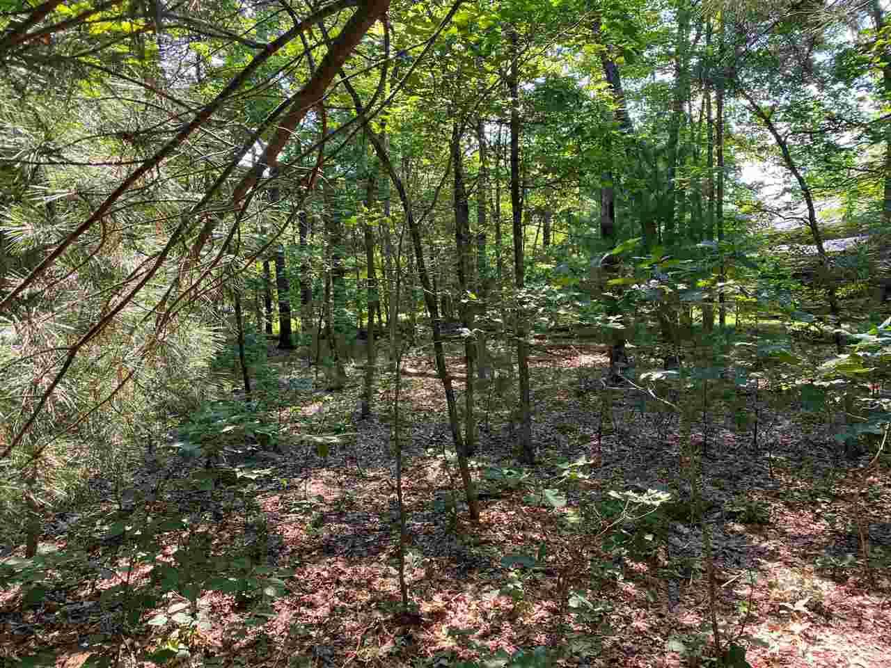 Wisconsin Dells, WI 53940,287 Dogwood Lane
