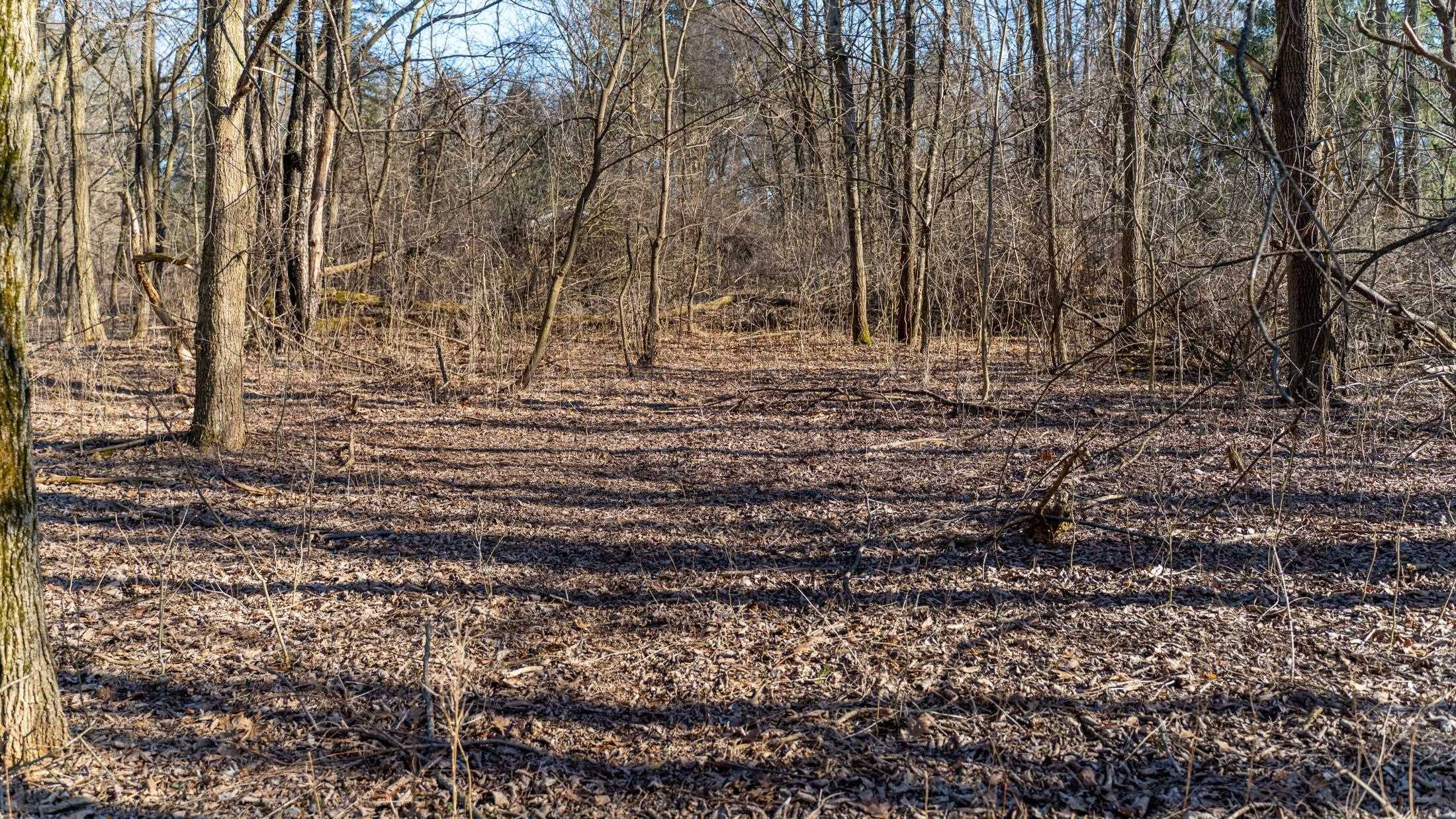 Whitewater, WI 53190,Lot 3 Sherwood Forest Road